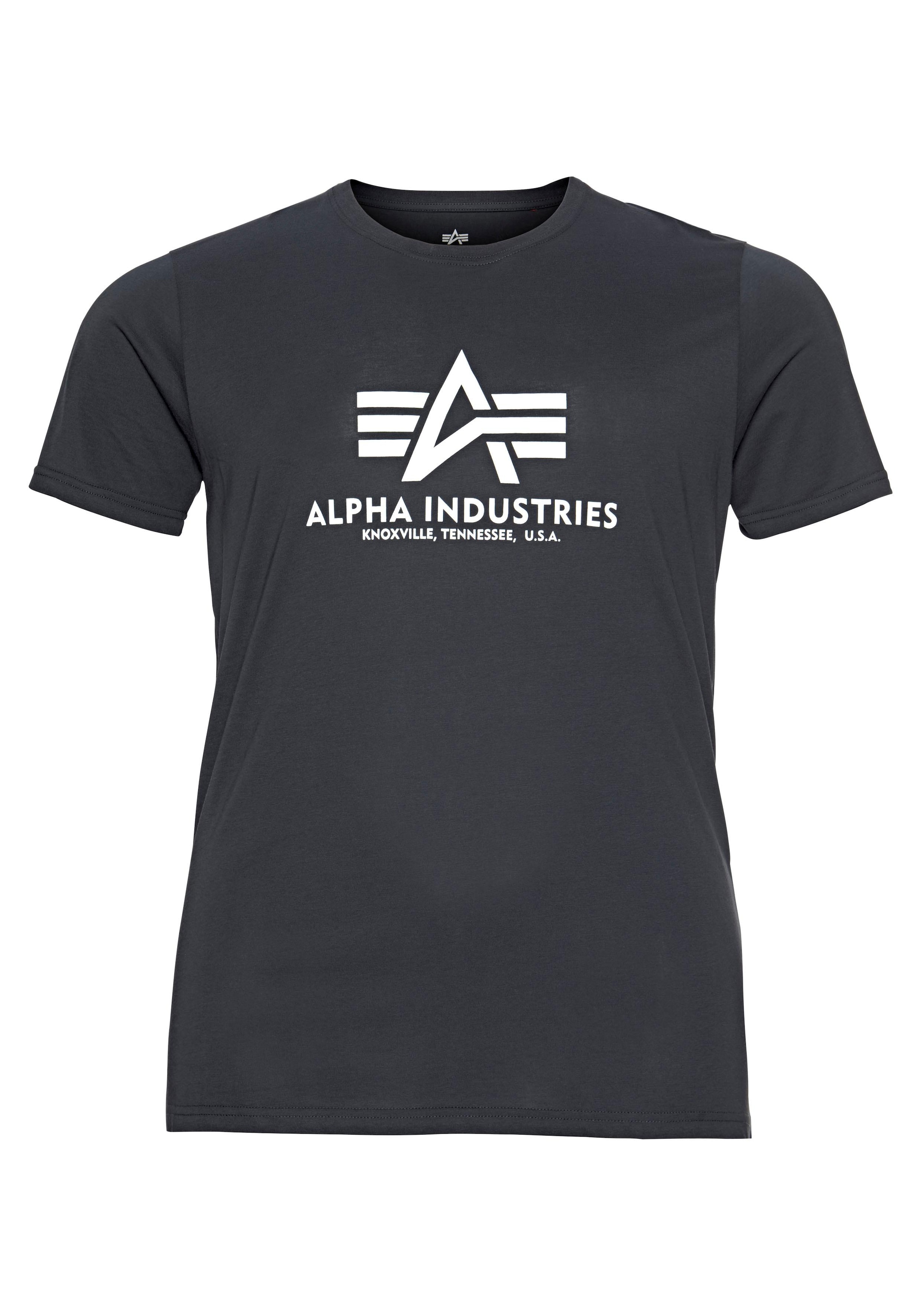 Alpha Industries T-Shirt »Basic T-Shirt«