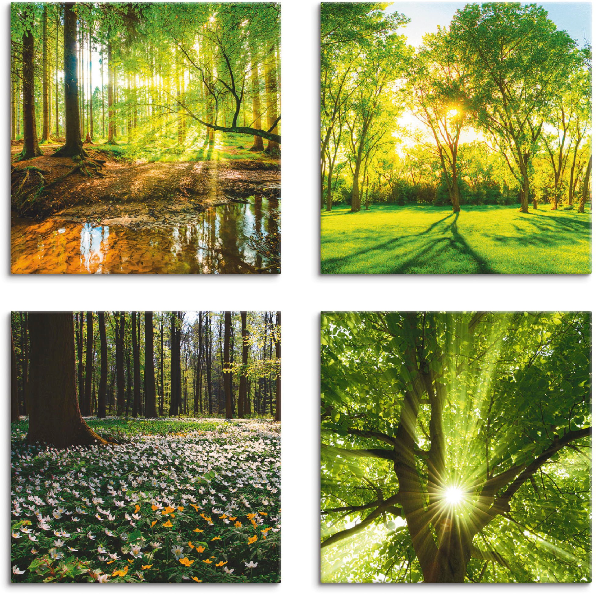 Image of Artland Leinwandbild "Wald Bach Frühling Windrosen Sonne Baum" Wald 4 Stk. tlg. 4er Set, verschiedene Grössen