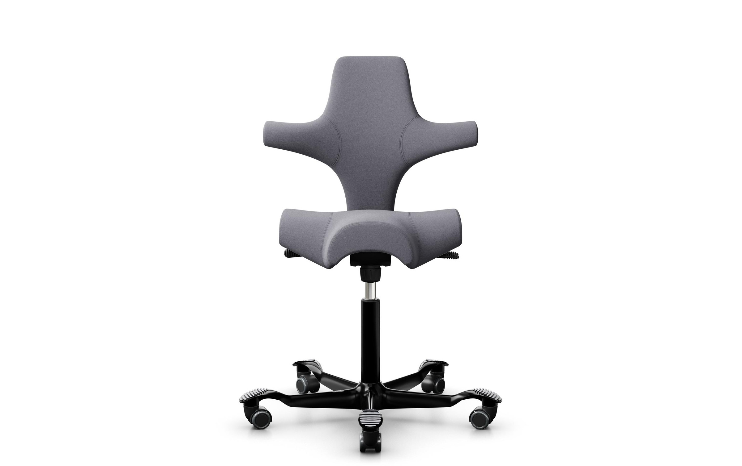 Image of Schreibtischstuhl "Bürostuhl Capisco 8106" ()