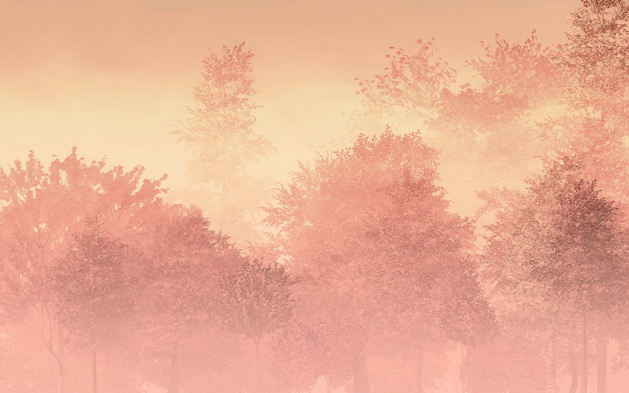 Image of Komar Fototapete »Heartwood«, botanisch-tropisch-Motiv, BxL: 400x250 cm, 150 g/m², Bahnbreite 50 cm, ausgezeichnet lichtbeständig bei Ackermann Versand Schweiz