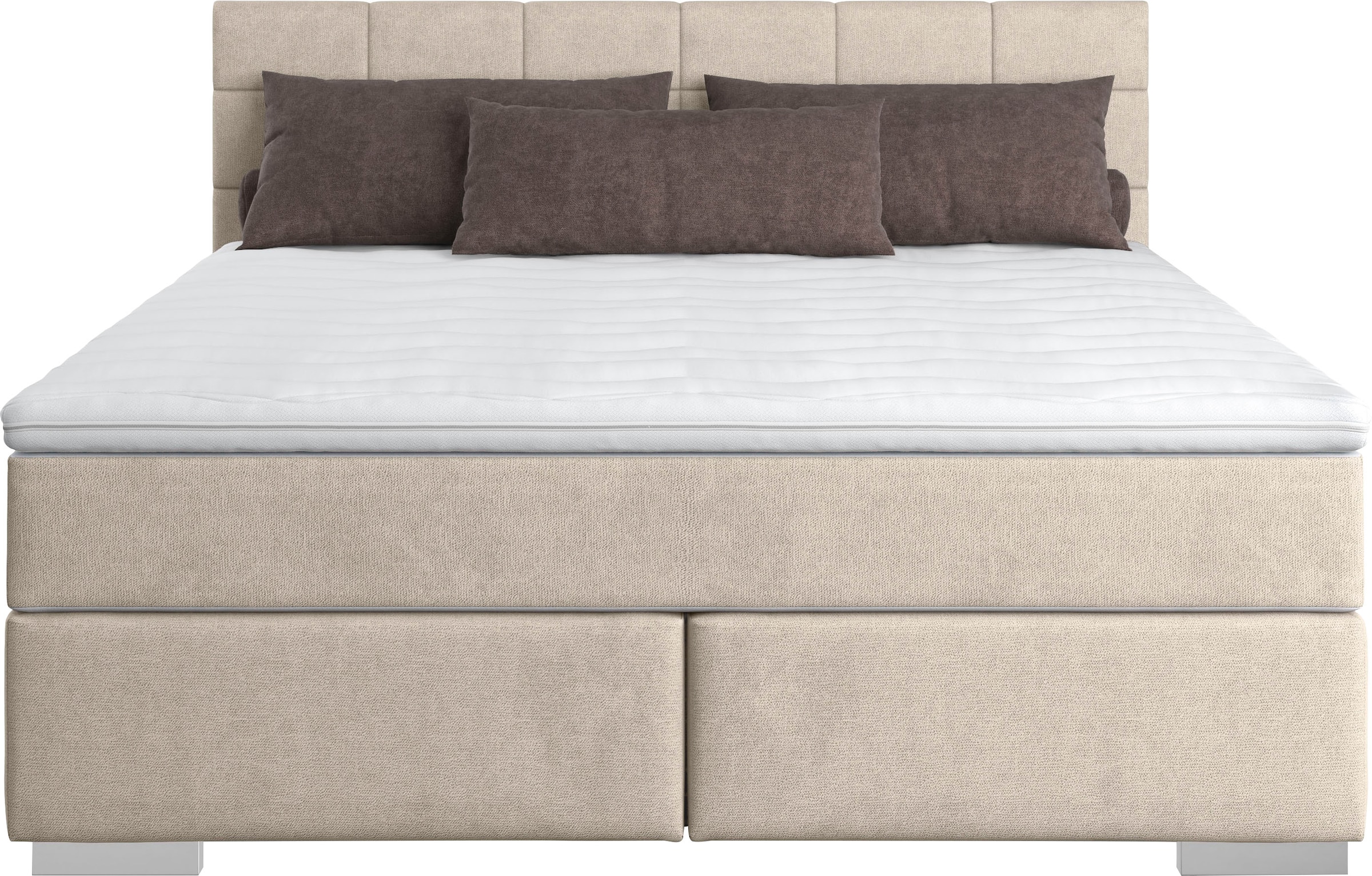 COTTA Boxspringbett »Simba erhältlich in verschiedenen Breiten, Farben und Härtegraden« Bezugsstoff: Struktur fein