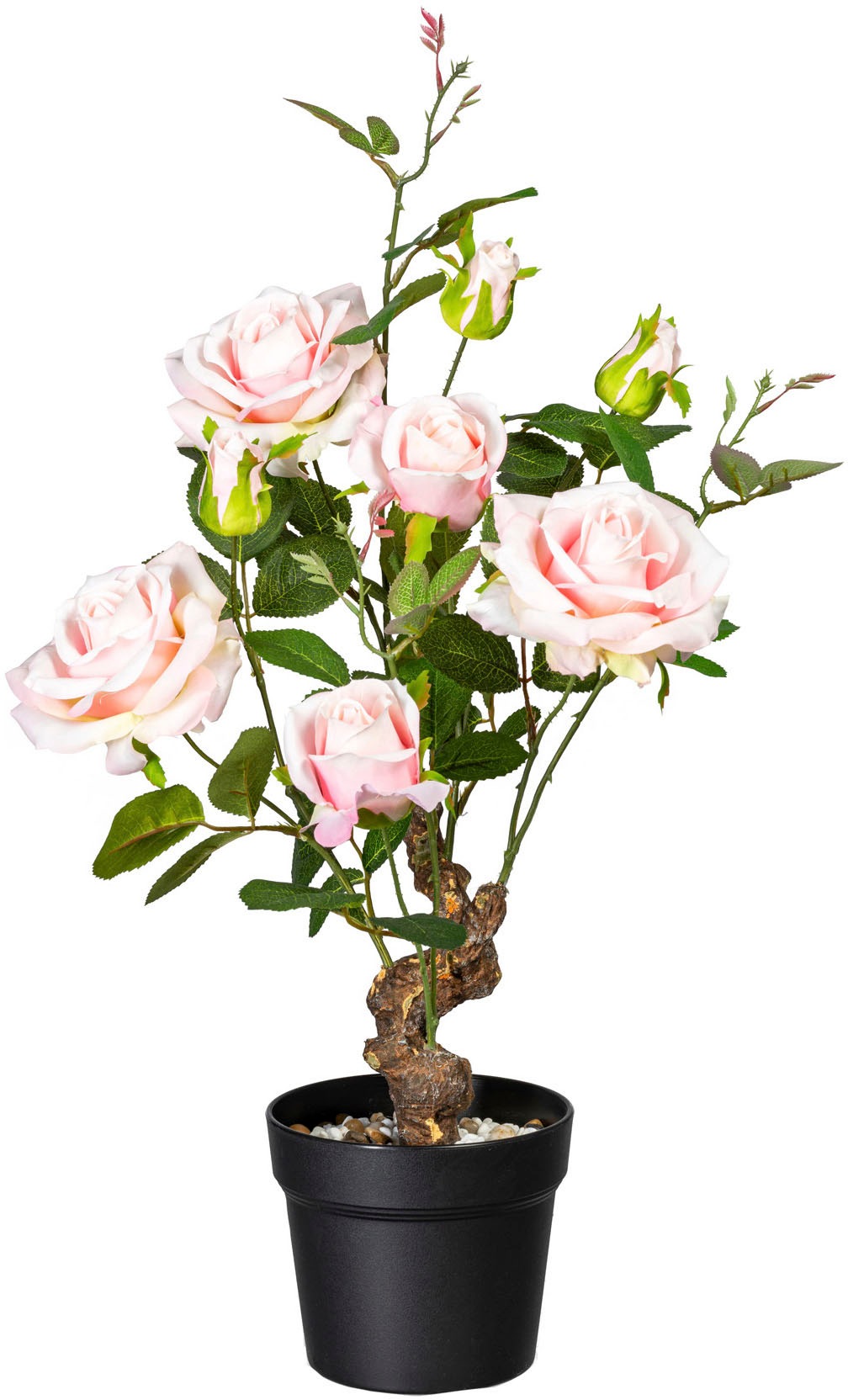 Image of Creativ green Kunstpflanze »Rose«, (1 St.) bei Ackermann Versand Schweiz