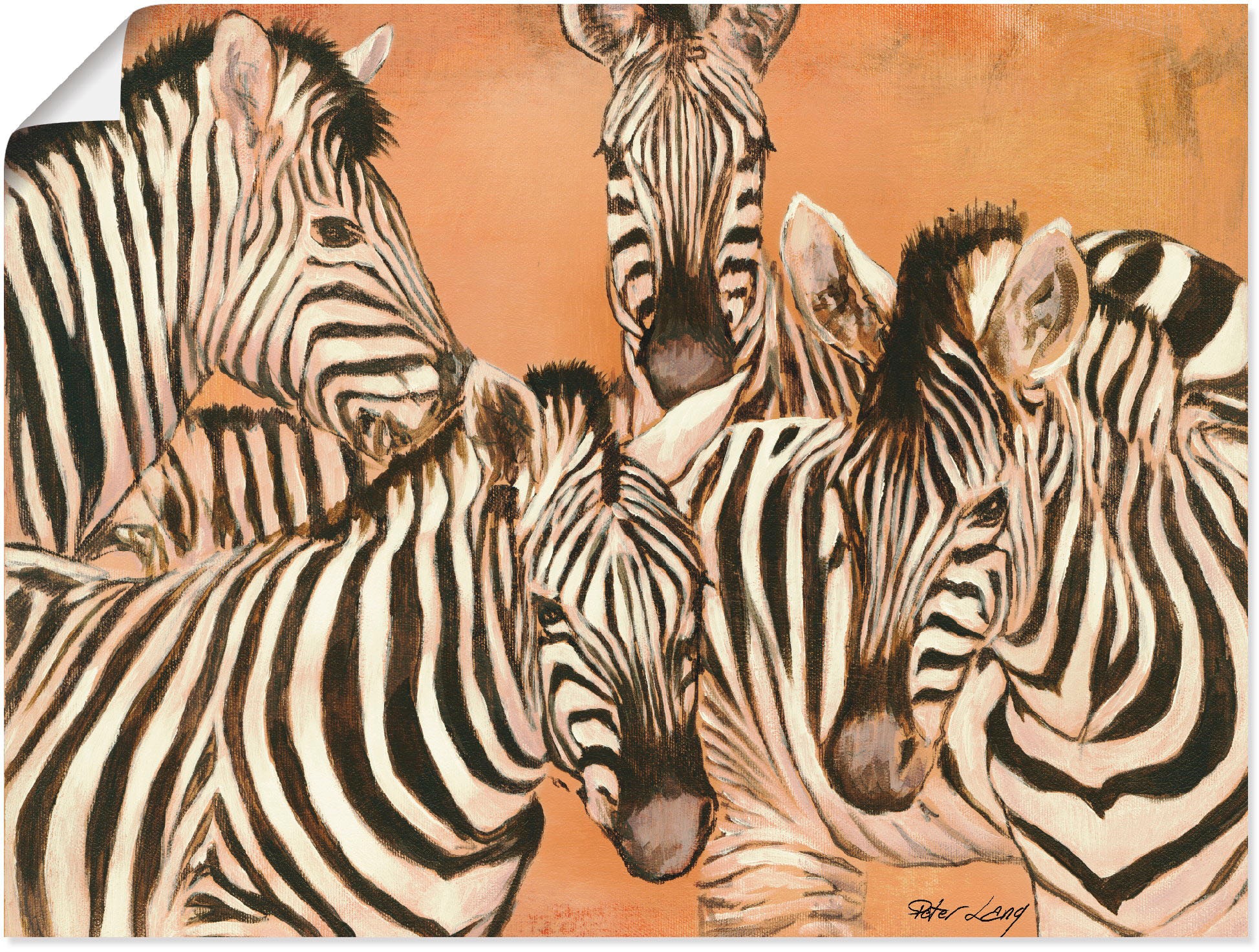 Image of Artland Wandbild »Zebras«, Wildtiere, (1 St.), in vielen Grössen & Produktarten - Alubild / Outdoorbild für den Aussenbereich, Leinwandbild, Poster, Wandaufkleber / Wandtattoo auch für Badezimmer geeignet bei Ackermann Versand Schweiz