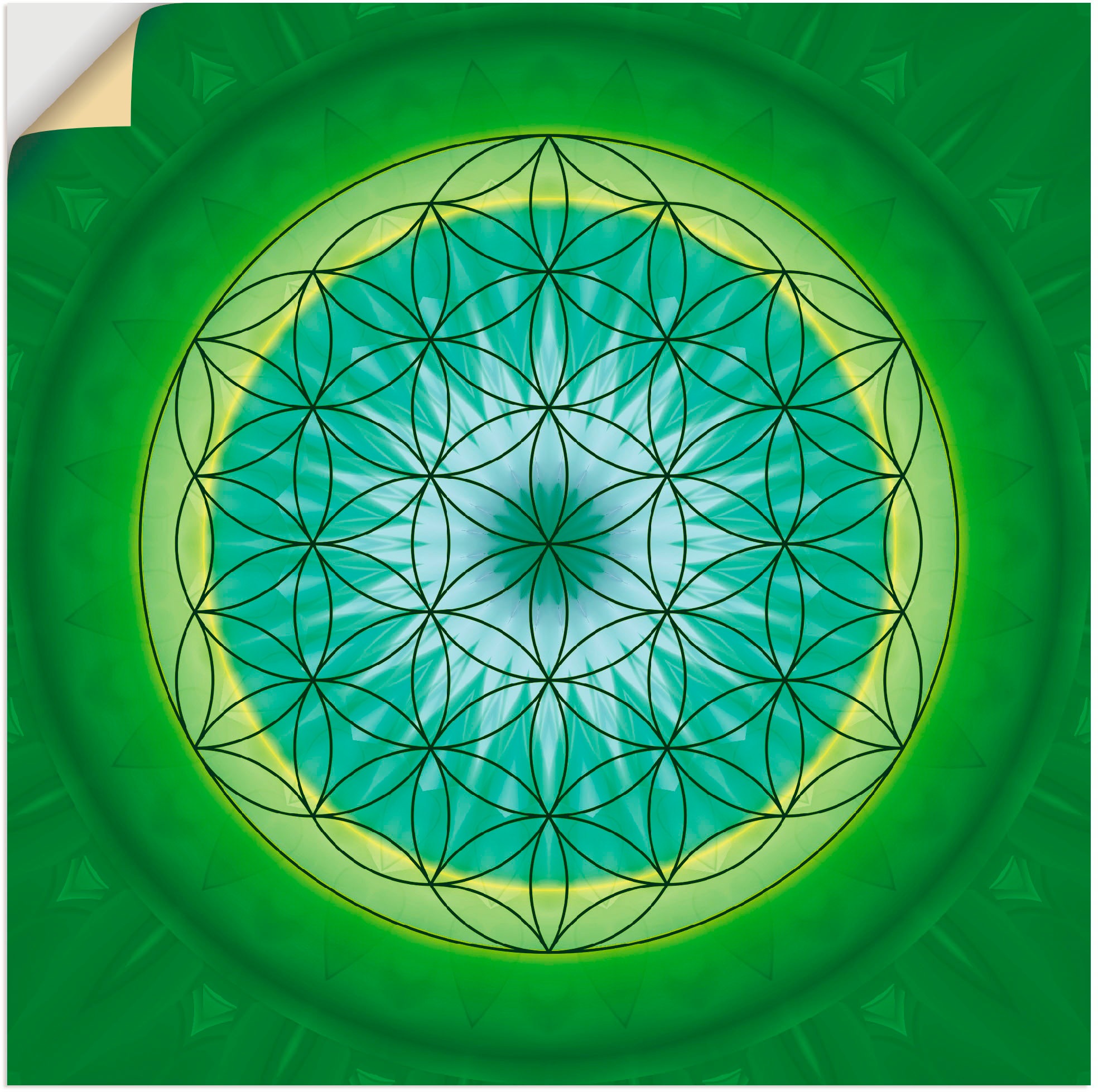 Image of Artland Wandbild »Blume des Lebens 3«, Muster, (1 St.), in vielen Grössen & Produktarten -Leinwandbild, Poster, Wandaufkleber / Wandtattoo auch für Badezimmer geeignet bei Ackermann Versand Schweiz