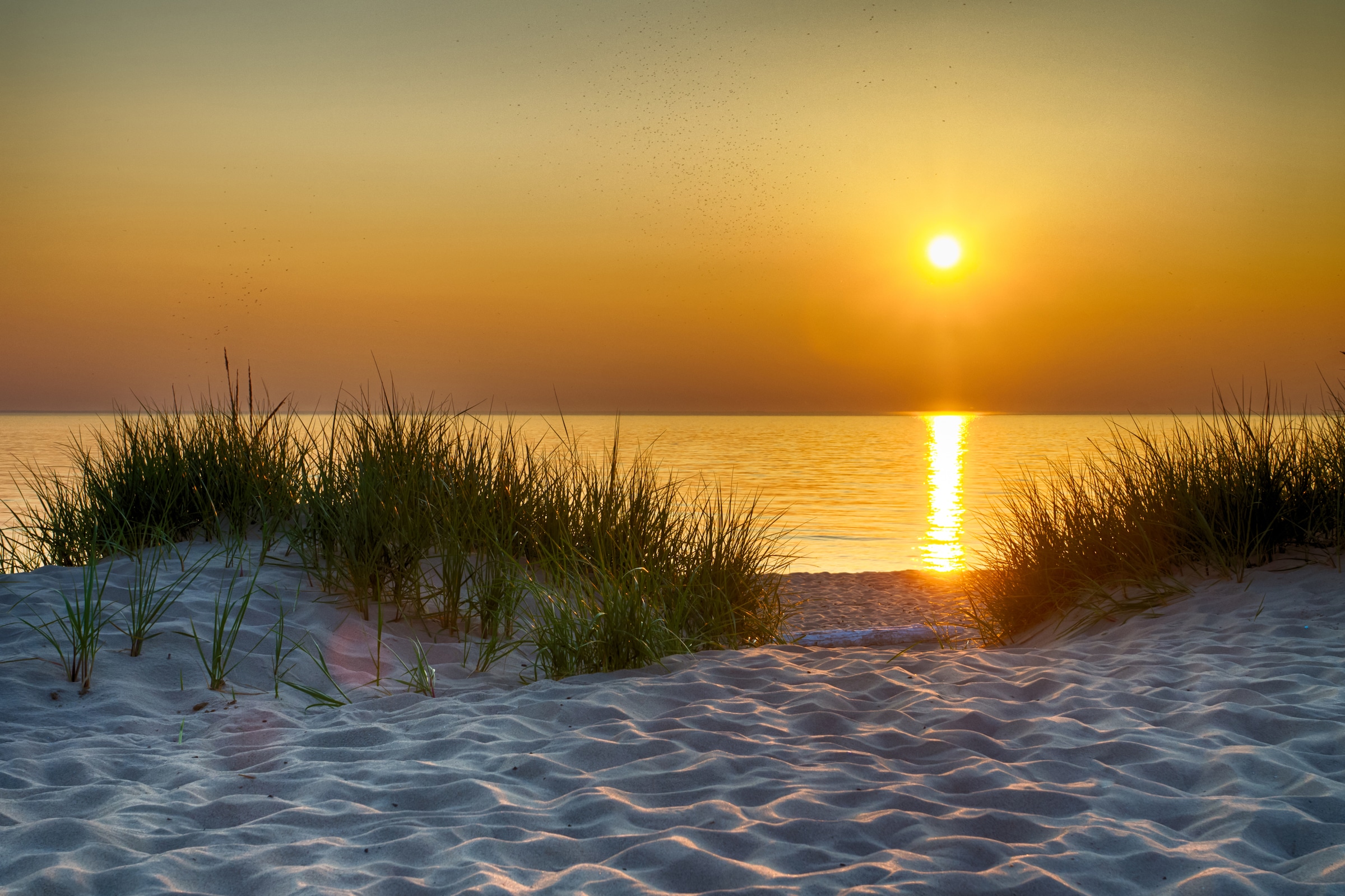 Image of Papermoon Fototapete "Dunes Lake Michigan" glatt