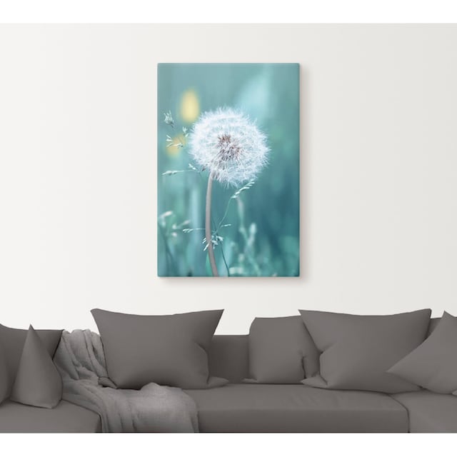 Artland Wandbild »Pusteblume«, Blumen, (1 St.), als Alubild, Leinwandbild,  Wandaufkleber oder Poster in versch. Grössen günstig kaufen