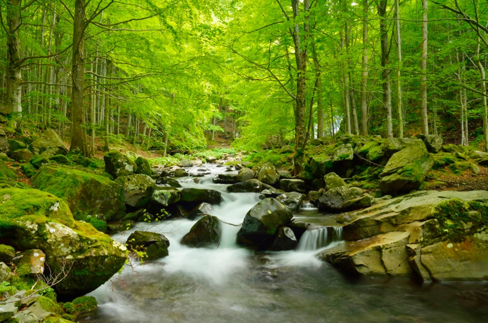 Image of Papermoon Fototapete »Soft Water Stream«, matt, BlueBack, 7 Bahnen, 350 x 260 cm bei Ackermann Versand Schweiz