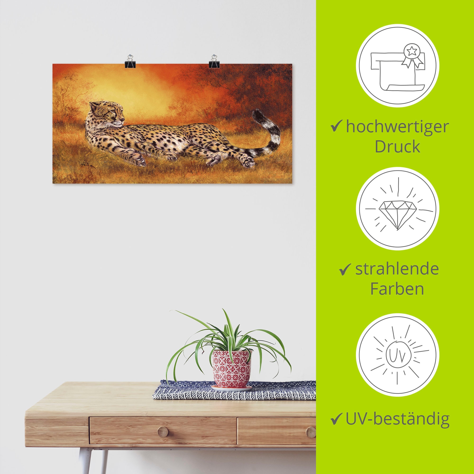 Artland Wandbild »Gepard«, Geparden Bilder, (1 St.), als Alubild, Outdoorbild, Leinwandbild, Poster, Wandaufkleber