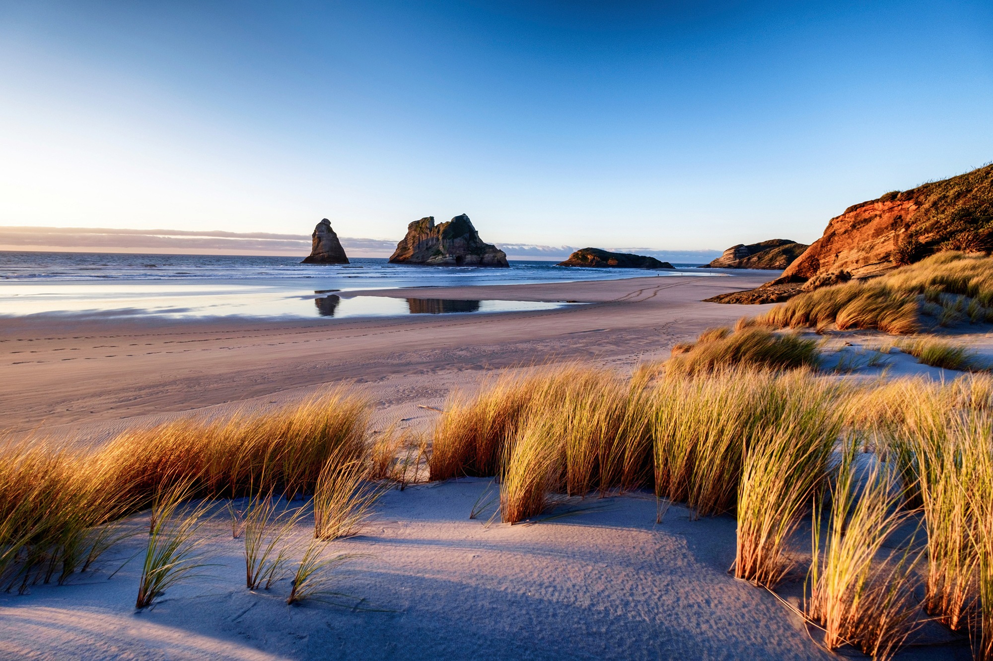 Image of Papermoon Fototapete "DÜNEN-WHARARIKI BEACH MEER SEE KÜSTE STRAND SYLT BAUM"