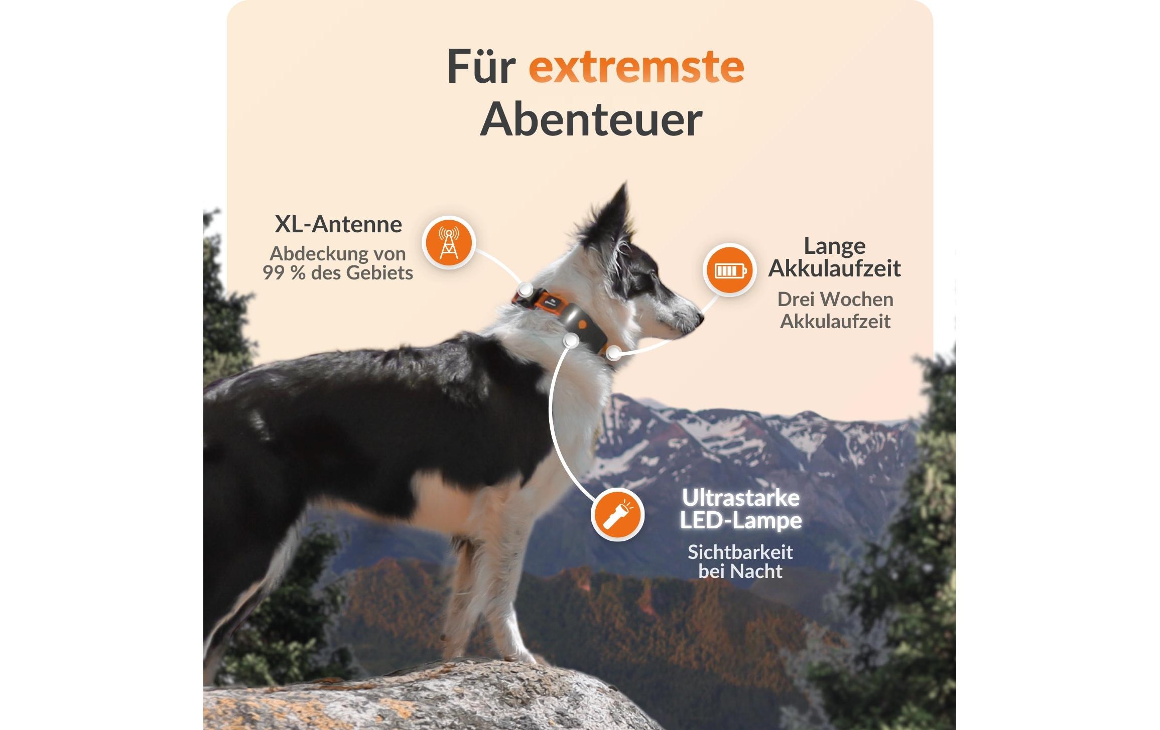   traceur GPS pour chiens »Weenect für Hunde XT ohne Halsband«