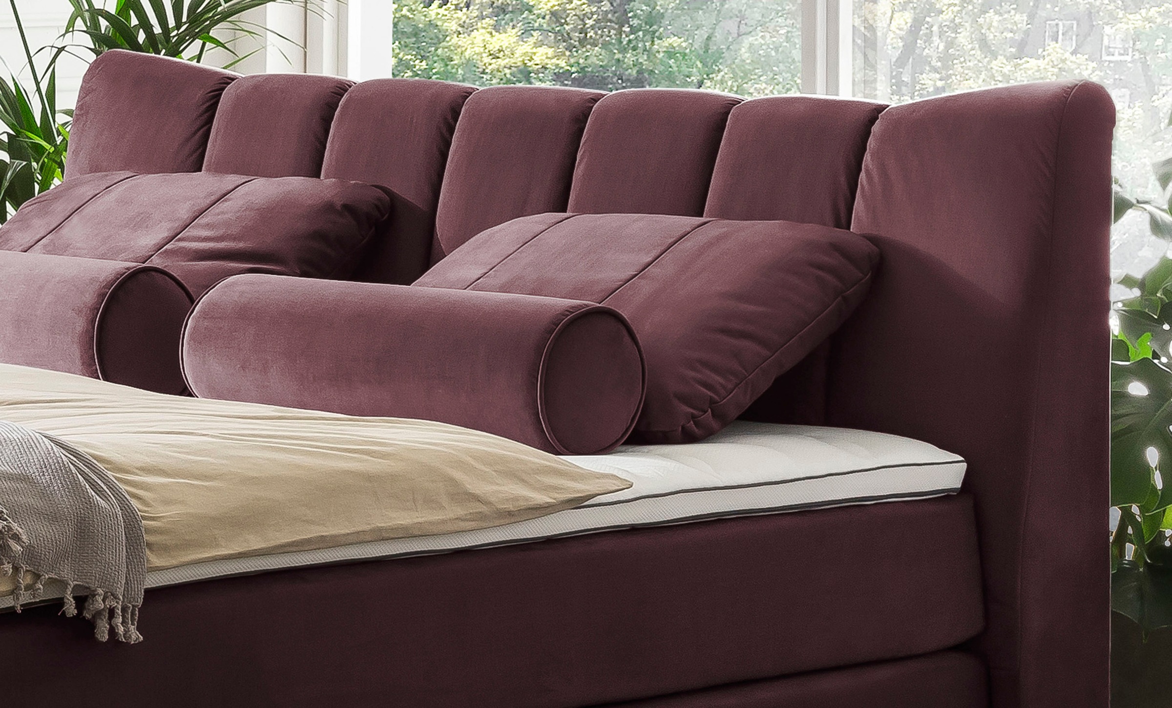 Image of Leonique Dekokissen »Océane«, (2 St., passend zum Bett Océane Samtvelours in Farbe Lilac), passend zum Bett Oceáne in Samtvelours und Feinstruktur, 2-er Set bei Ackermann Versand Schweiz