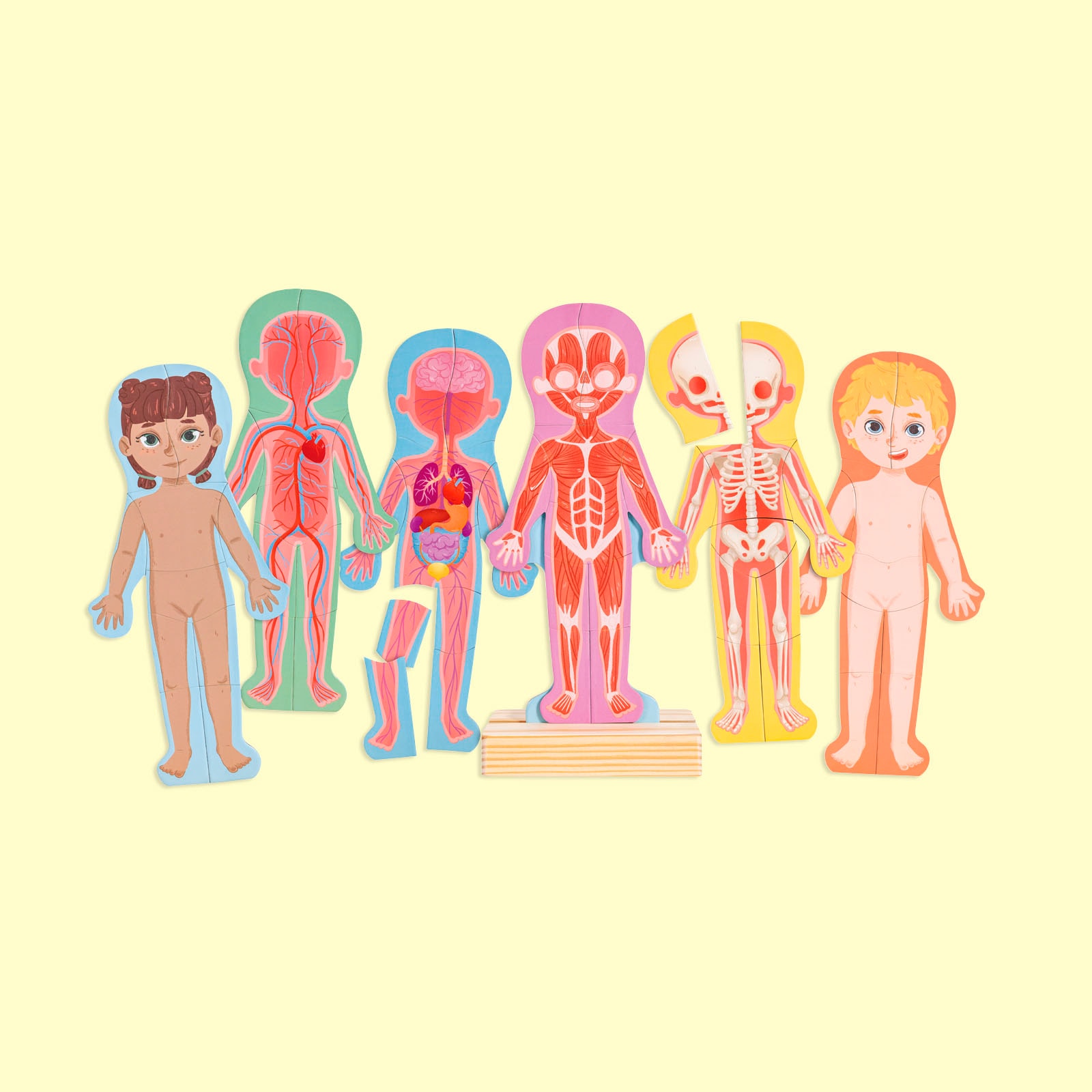 Hape Puzzle de contours »Menschlicher Körper«