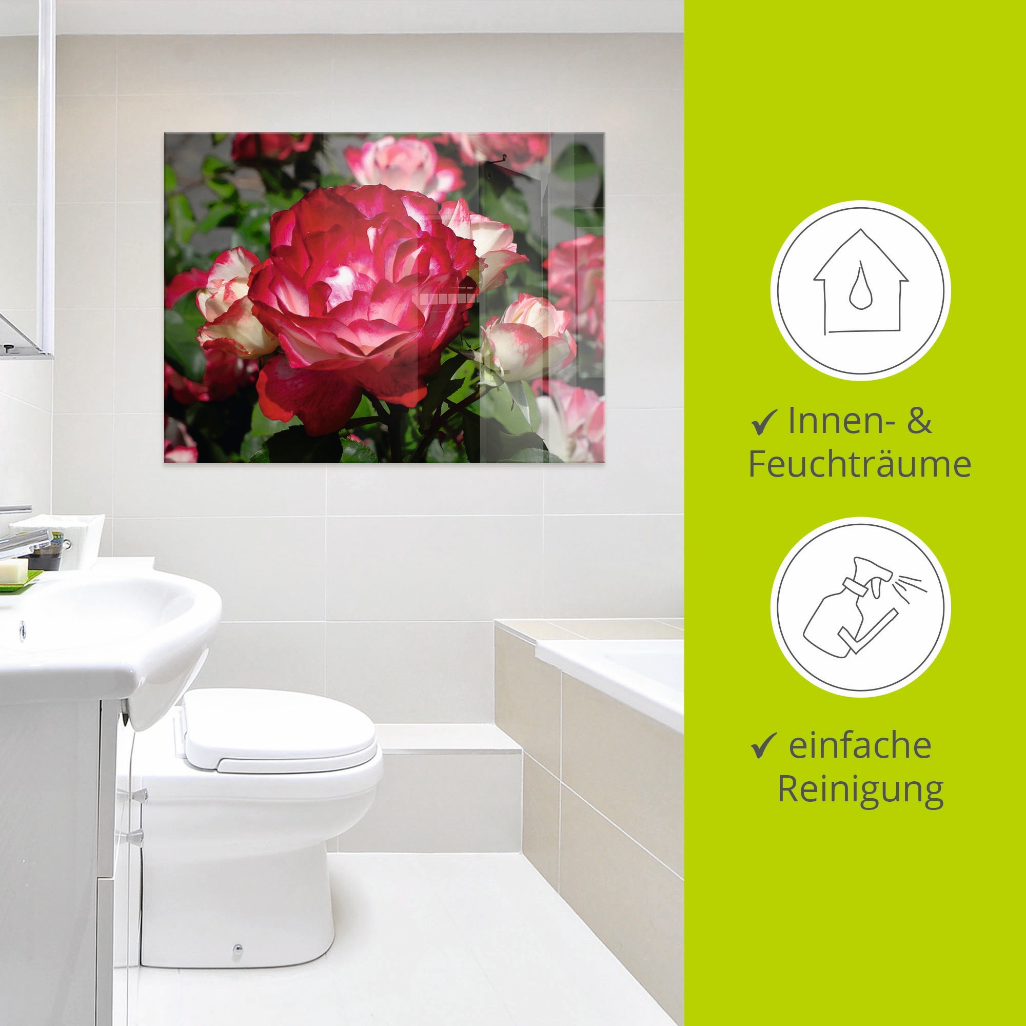 Artland Glasbild »Rot weisse Rosenblüte«, Blumen, (1 St.), in verschiedenen Grössen