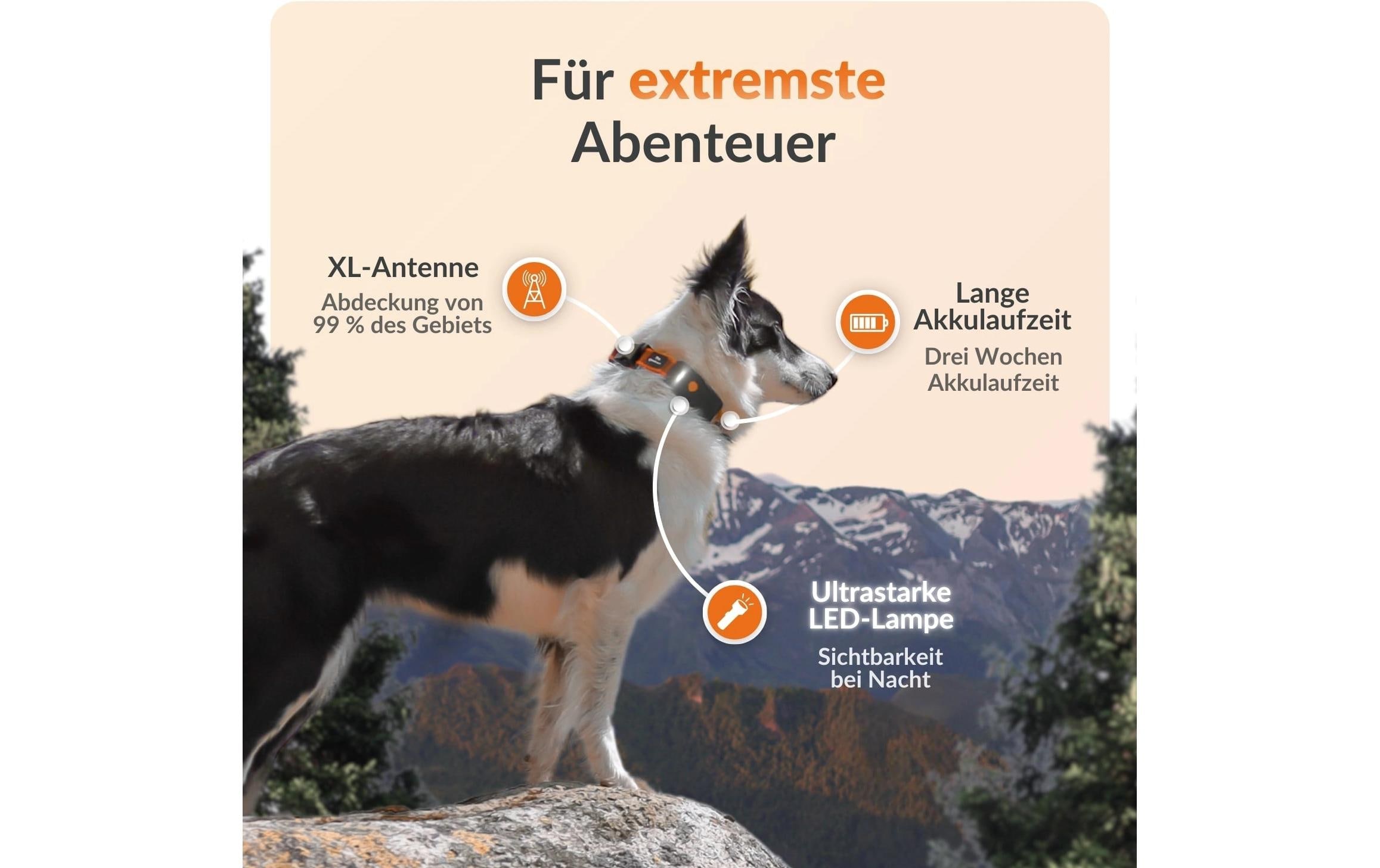   traceur GPS pour chiens »Weenect für Hunde XT mit Halsband«