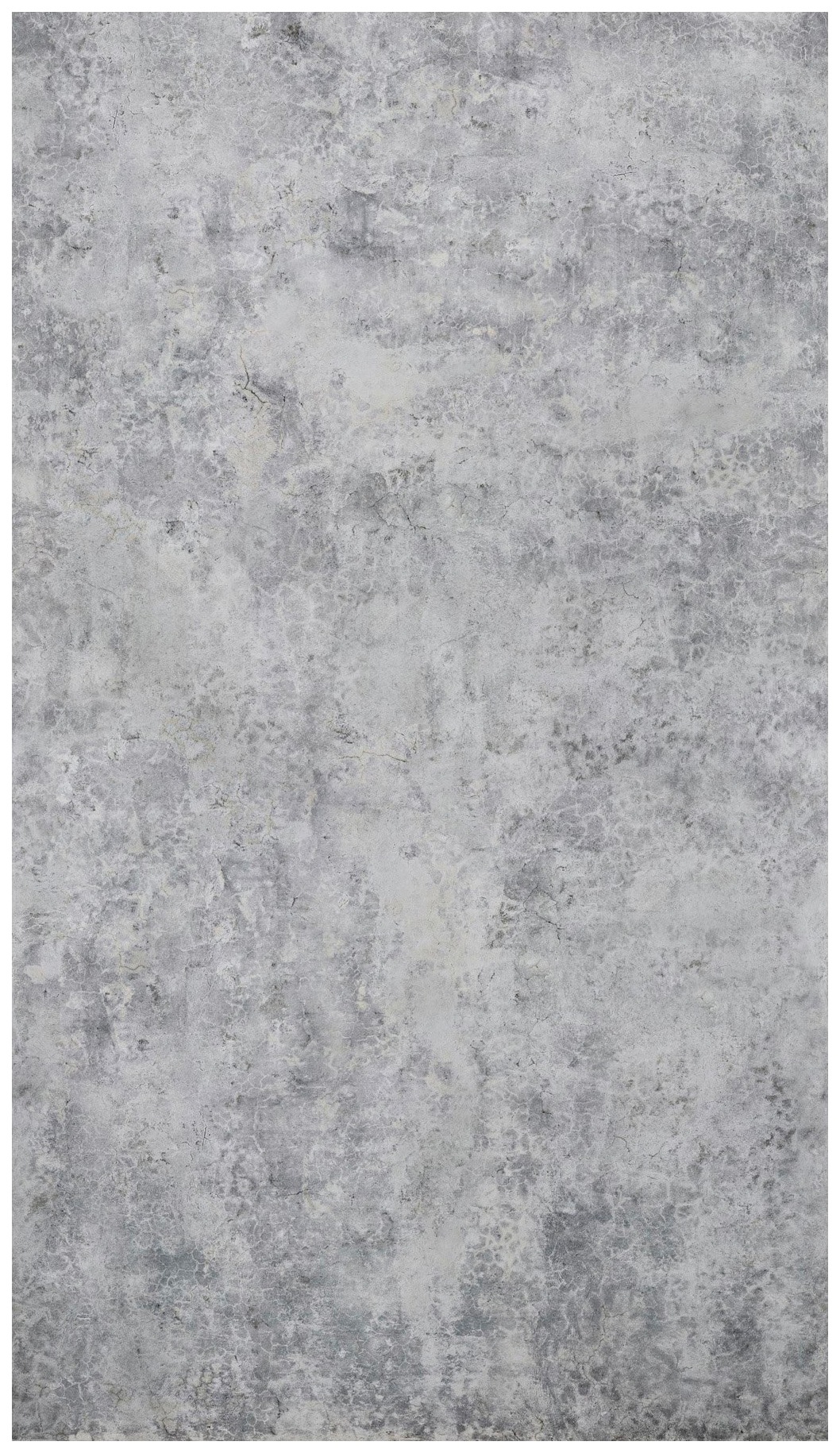 Image of Bodenmeister Fototapete »Sicht-Beton grau« bei Ackermann Versand Schweiz