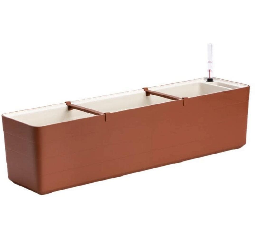   Blumenkasten »Plastia Berberis 80 cm«