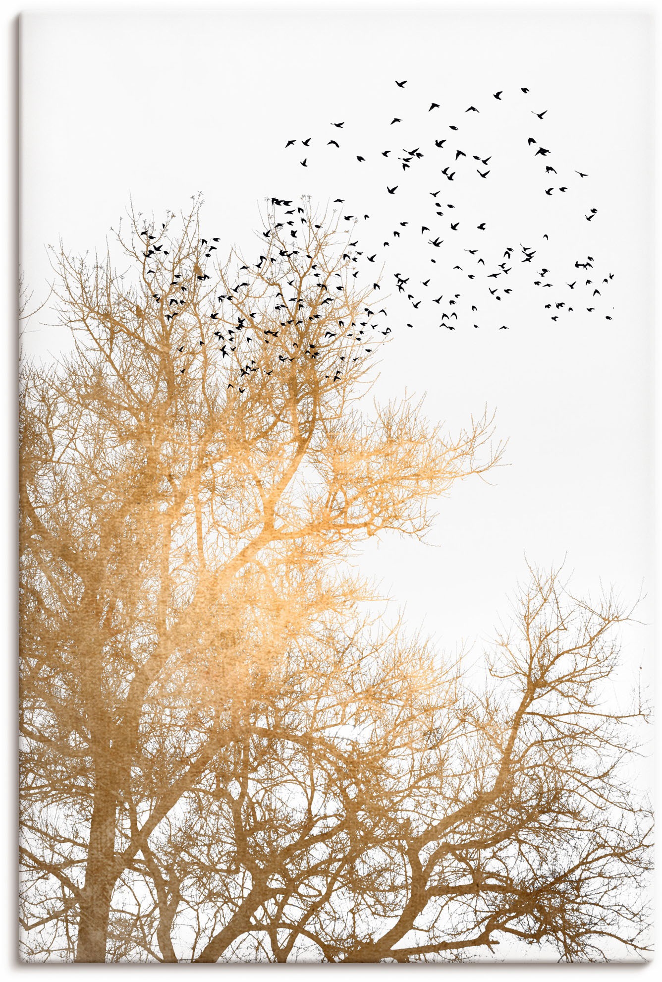 Image of Artland Wandbild »Goldener Himmel«, Himmelsbilder, (1 St.), in vielen Grössen & Produktarten - Alubild / Outdoorbild für den Aussenbereich, Leinwandbild, Poster, Wandaufkleber / Wandtattoo auch für Badezimmer geeignet bei Ackermann Versand Schweiz