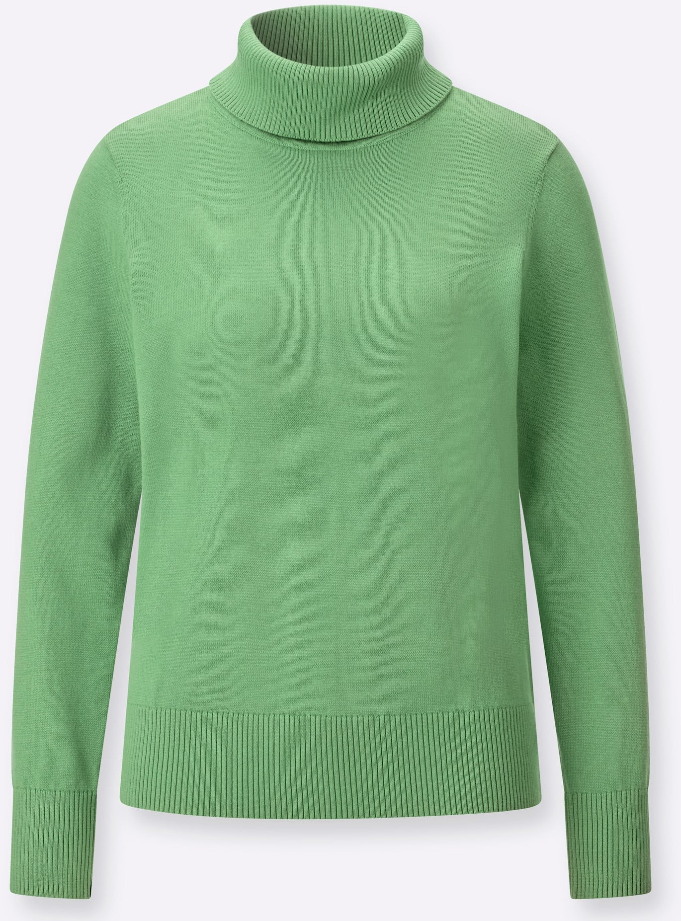 Classic Basics Rollkragenpullover »Rollkragen-Pullover«