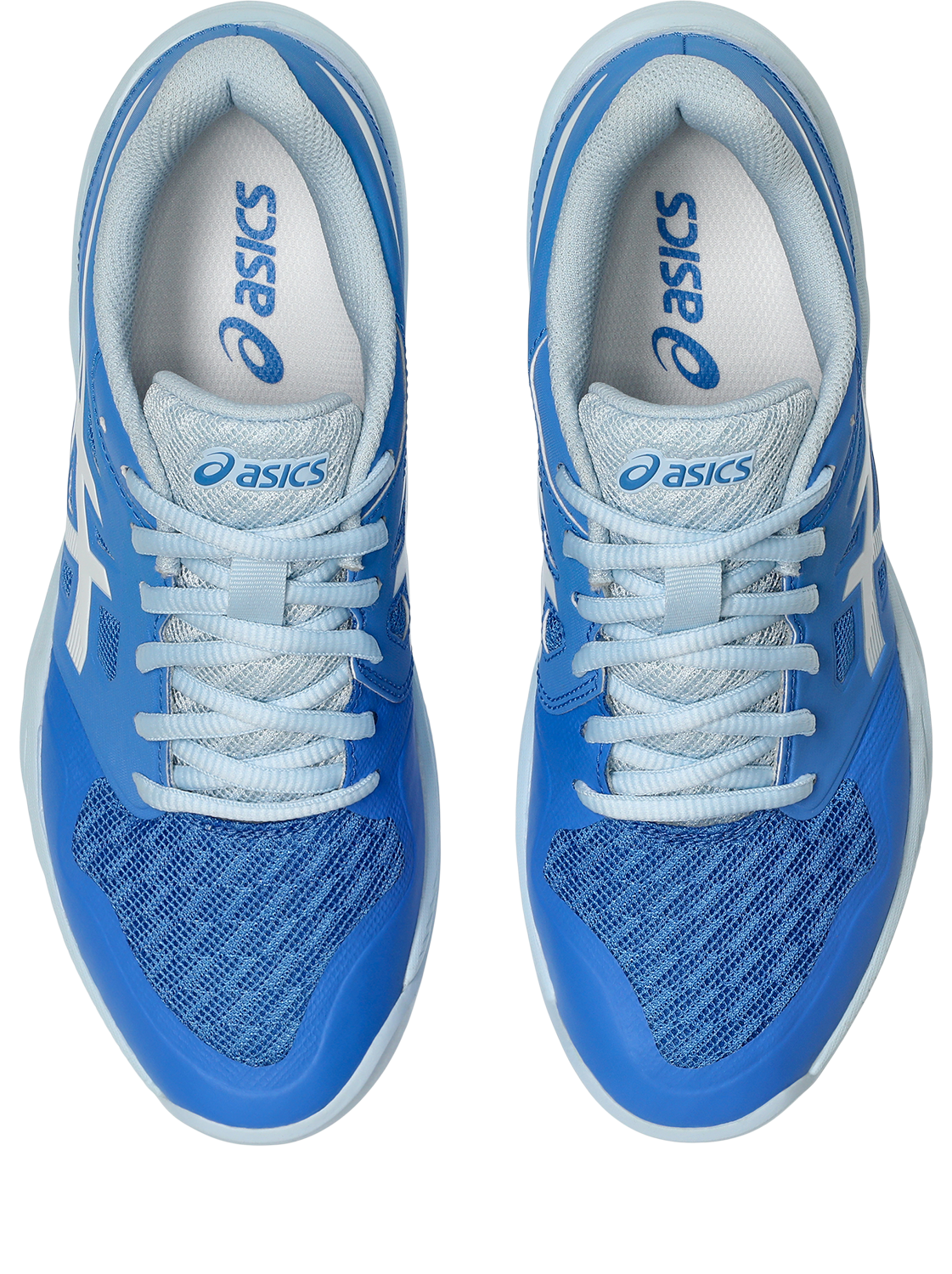 Asics Indoorschuh »GEL-COURT HUNTER 3«