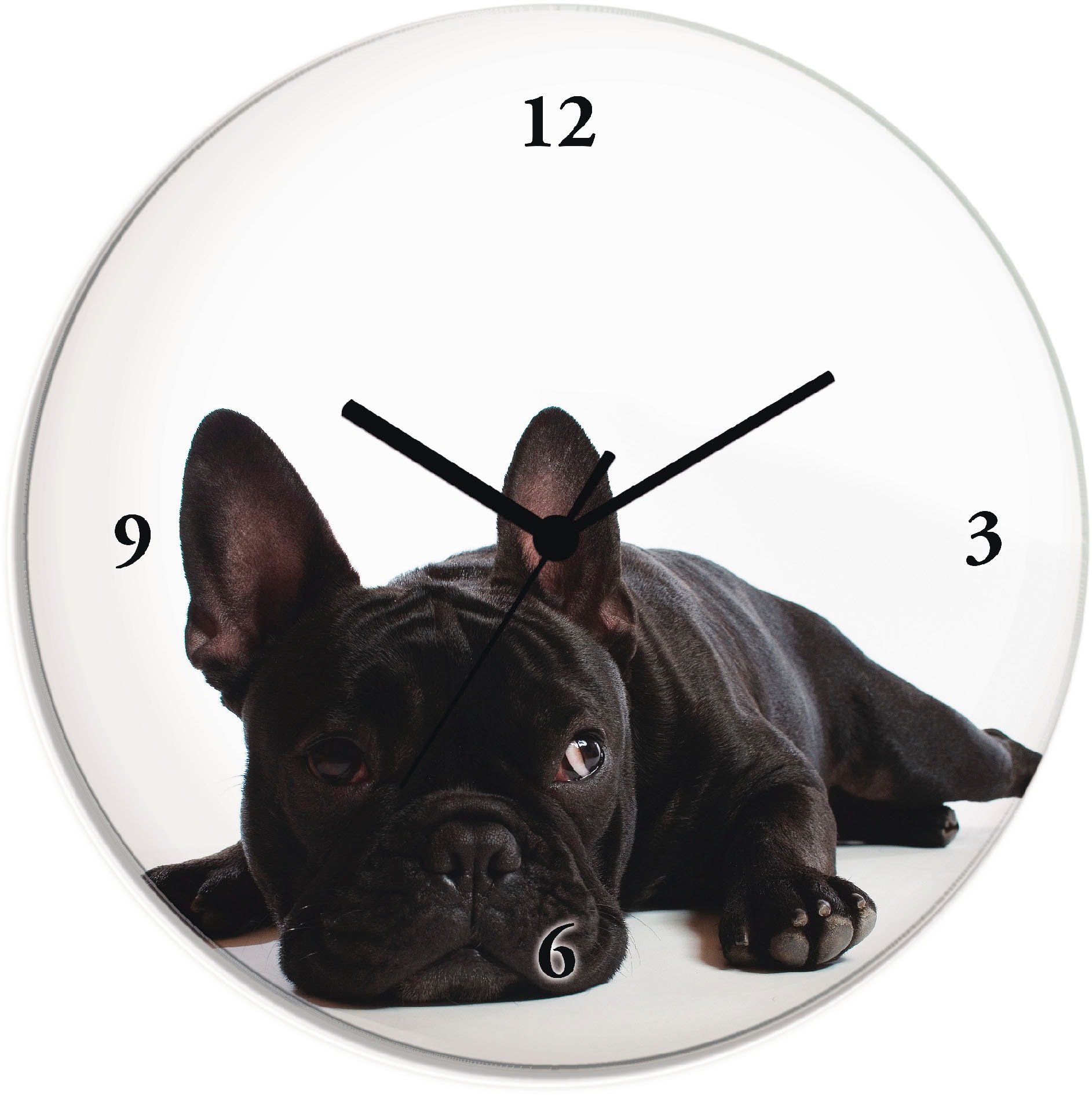 Image of Artland Wanduhr "Bulldogge" wahlweise mit Quarz- oder Funkuhrwerk, lautlos ohne Tickgeräusche