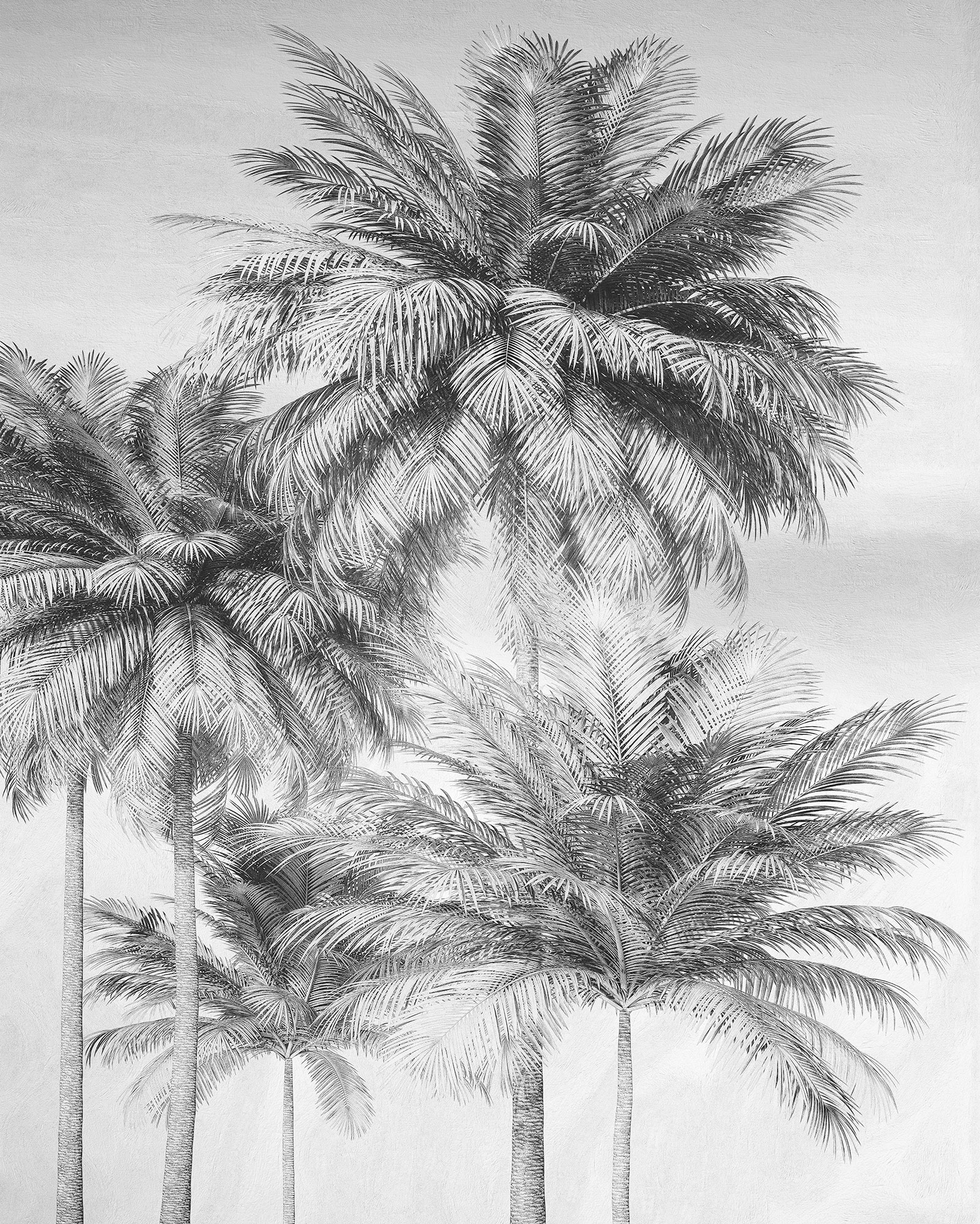 Image of Komar Vliestapete "Digitaldruck Vlies - Cocco - Grösse 200 x 250 cm" bedruckt glatt Wohnzimmer, Schlafzimmer