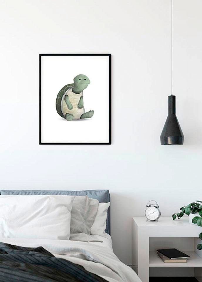 Komar Poster »Cute Animal Schlafzimmer, (Packung, Anzahl Teile kaufen 1), St., Schildkröten, Wohnzimmer Kinderzimmer, 1 jetzt Turtle«