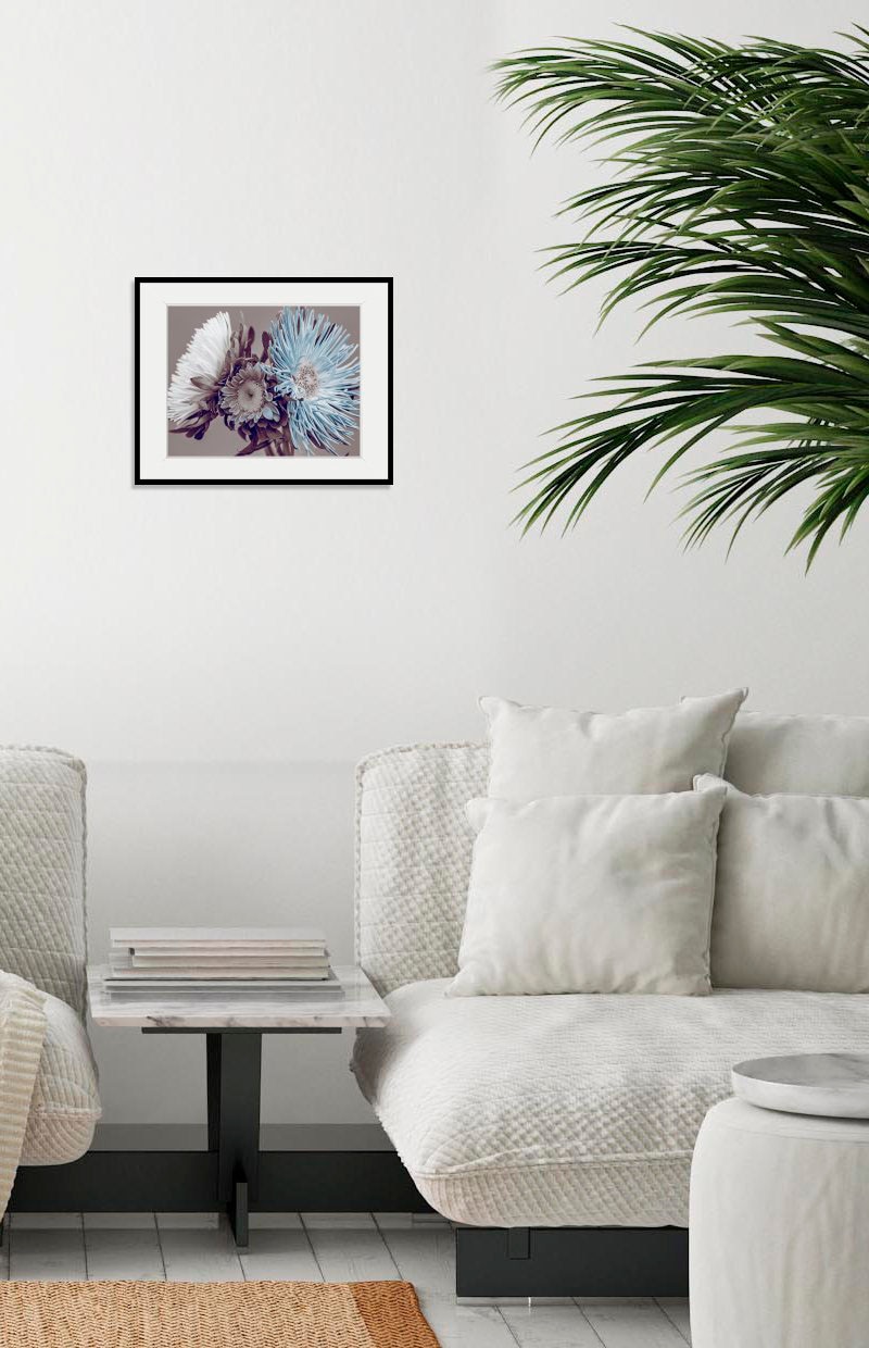Image of queence Bild "Verena" Blumen Foto Pflanzen Pflanzenbilder 1 Stk. tlg. HD Premium Poster-Druck inkl. Holzrahmen
