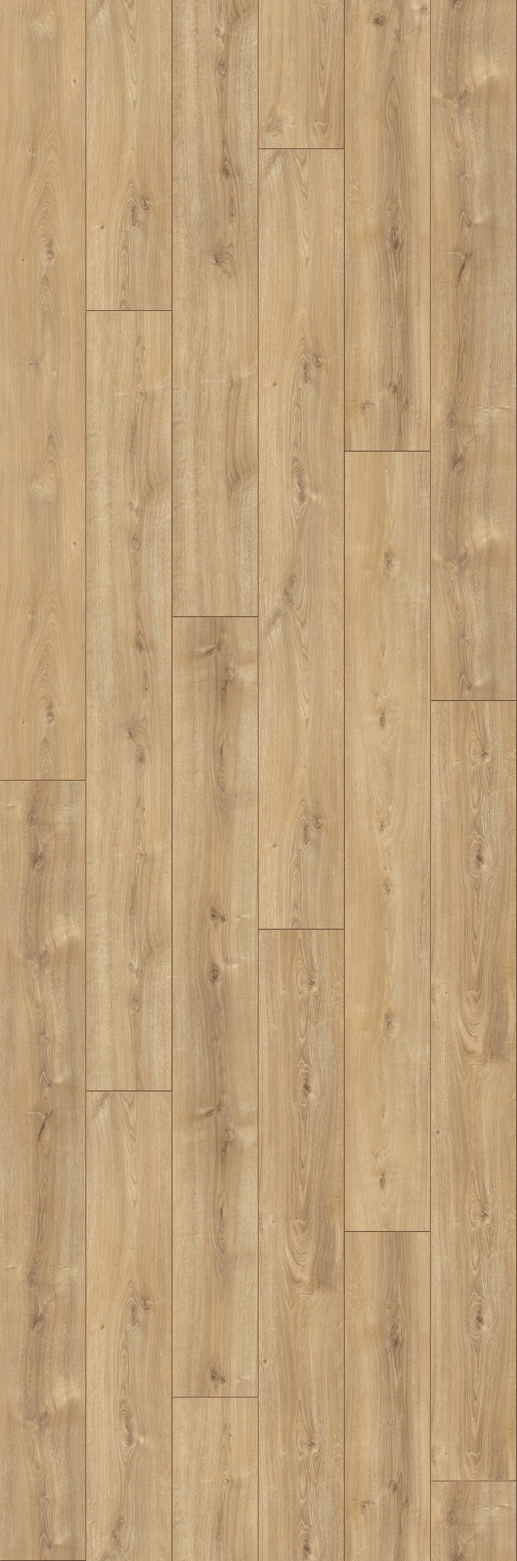 Image of PARADOR Laminat »Trendtime 6 - Eiche Nova«, (Packung), spezielle Trägerplatte, 2200 x 243 mm, Stärke: 9 mm bei Ackermann Versand Schweiz