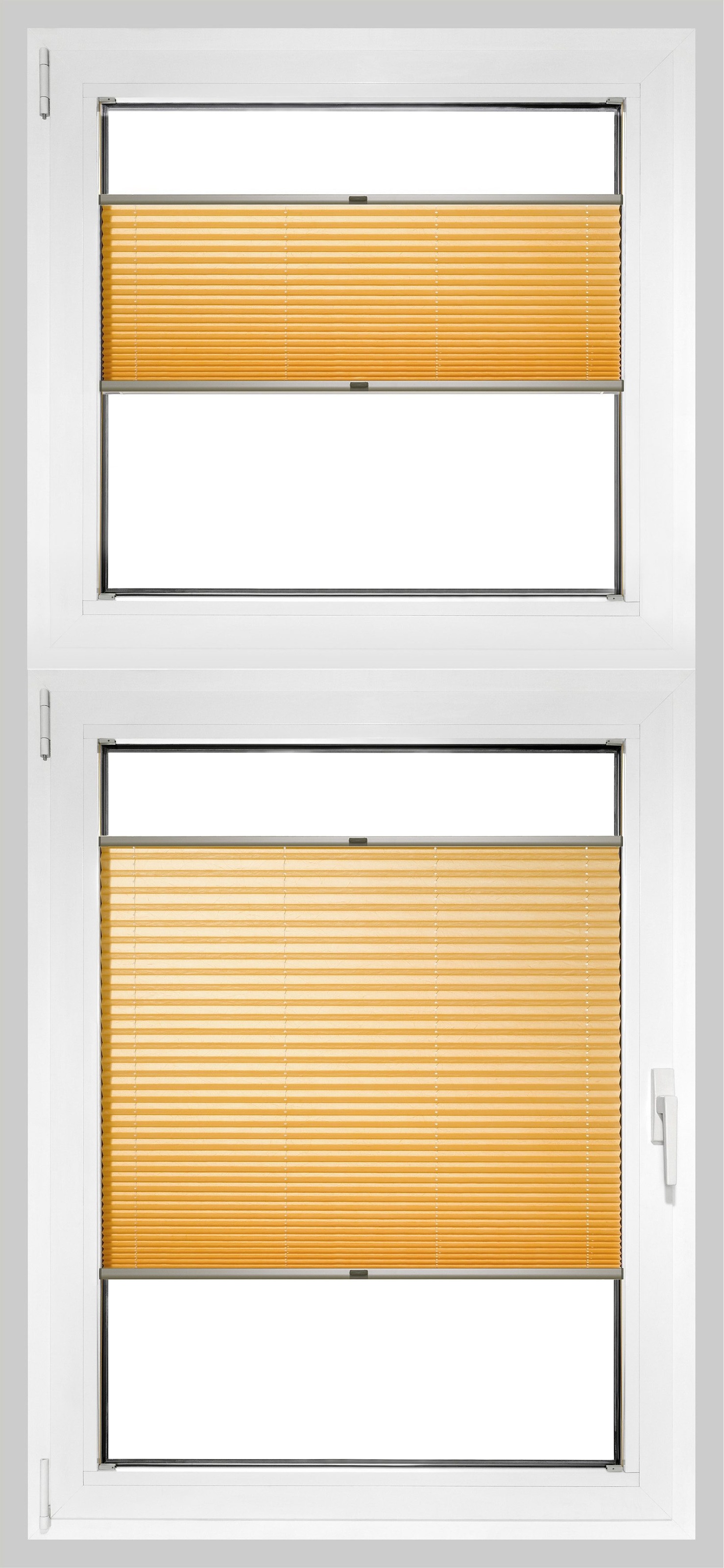 Image of Good Life Plissee nach Mass »Rena«, verdunkelnd, energiesparend, mit Bohren, verspannt, bronzefarbene Profilschiene bei Ackermann Versand Schweiz