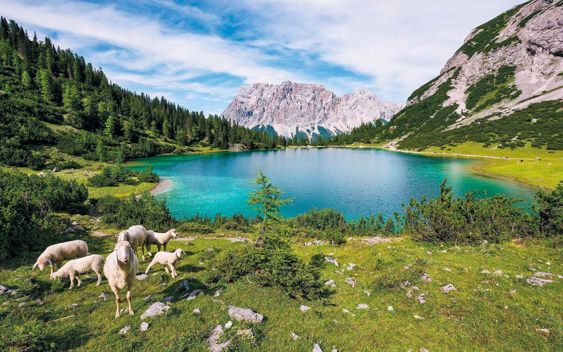 Image of Komar Vliestapete »Paradise Lake«, naturalistisch bei Ackermann Versand Schweiz