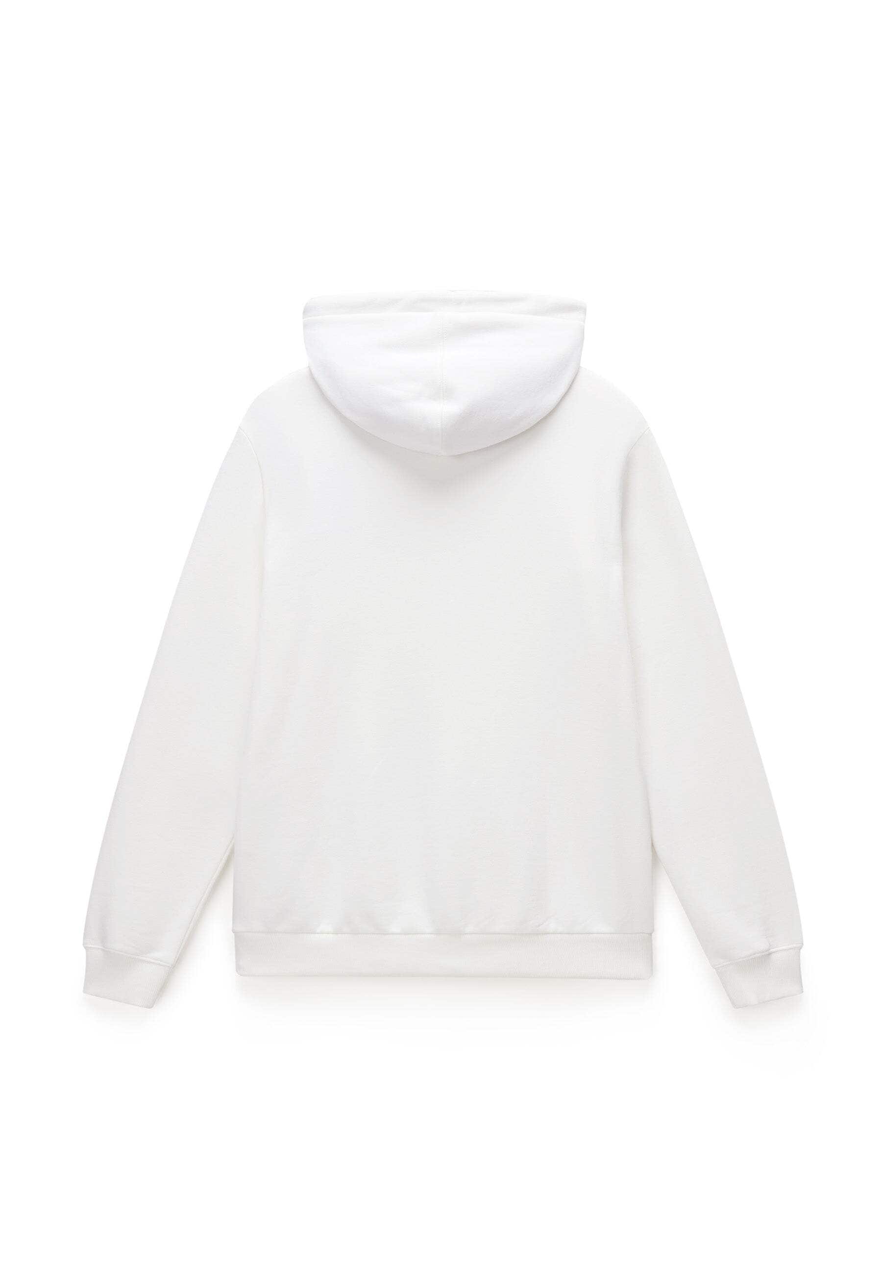 Napapijri Kapuzenpullover »Napapijri Kapuzenpullover BURGEE WINT 4«