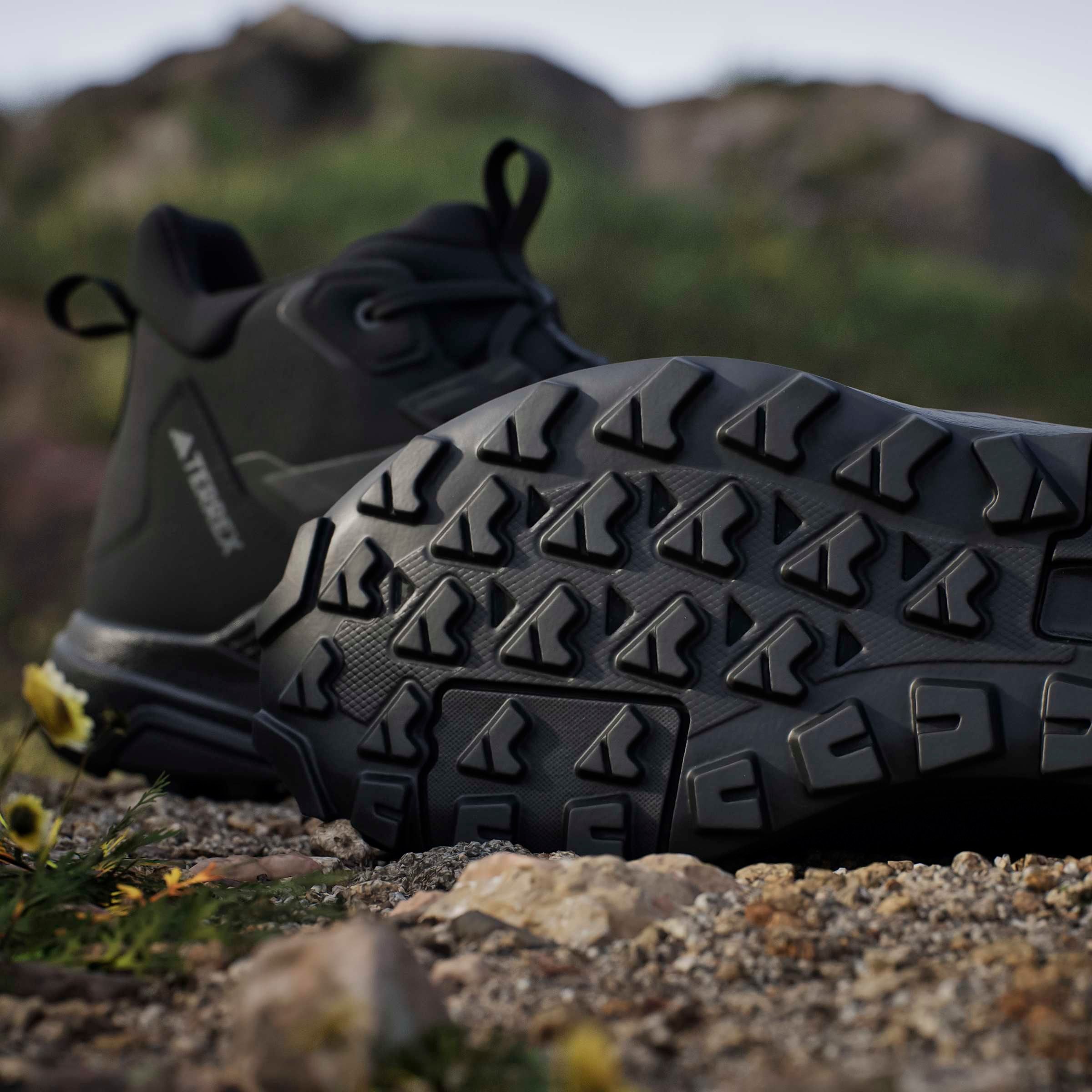 adidas TERREX Wanderschuh »TERREX ANYLANDER MID RAIN.RDY«  wasserdicht