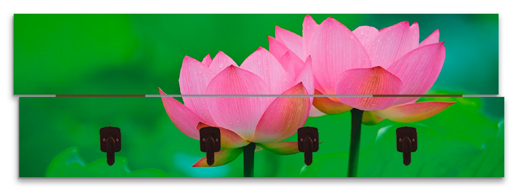 Image of Artland Garderobenleiste »Blühende Lotusblume«, platzsparende Wandgarderobe aus Holz mit 4 Haken, geeignet für kleinen, schmalen Flur, Flurgarderobe bei Ackermann Versand Schweiz