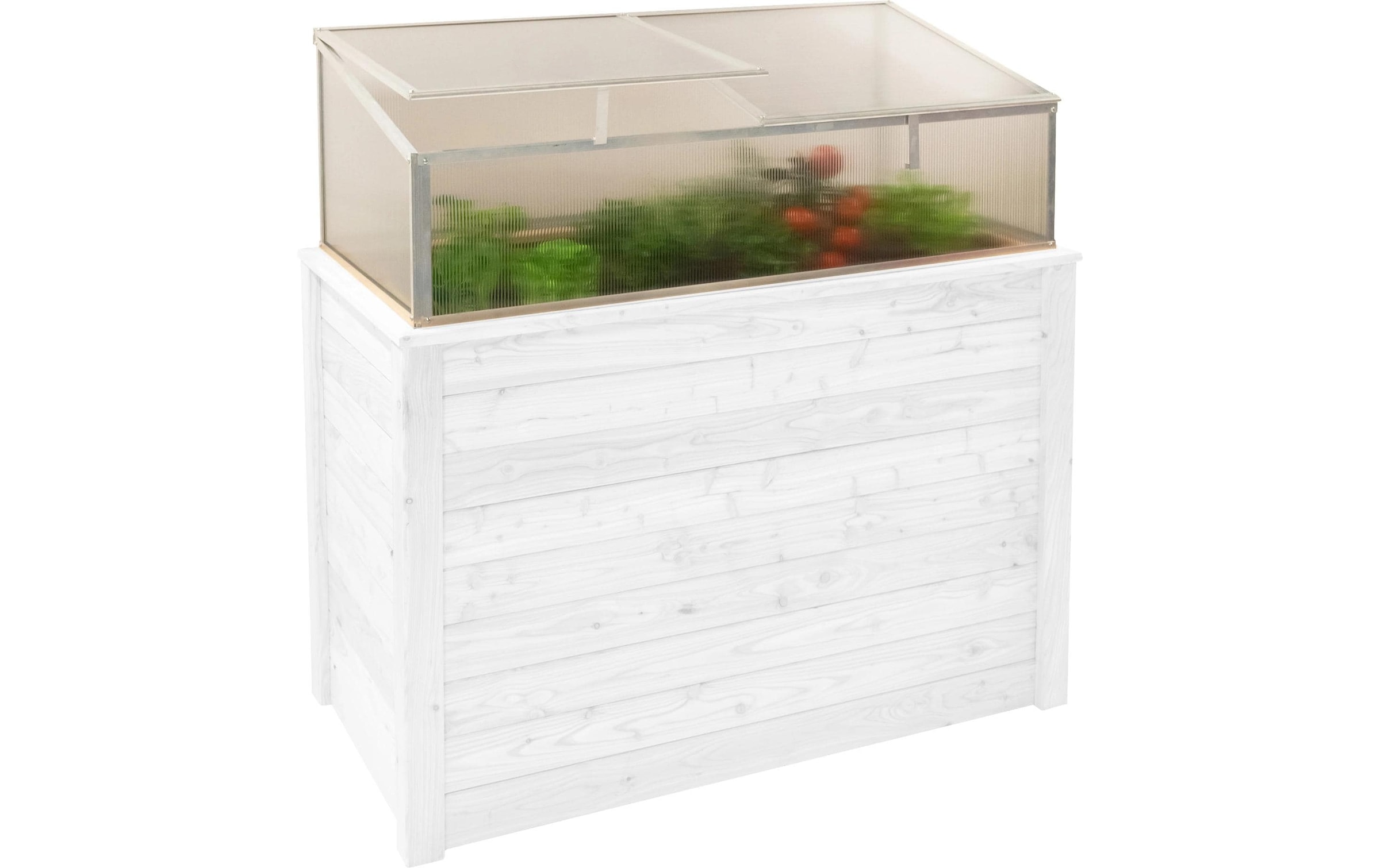 WESTMANN Frühbeet »Genus 100« BxTxH: 95x62x41 cm