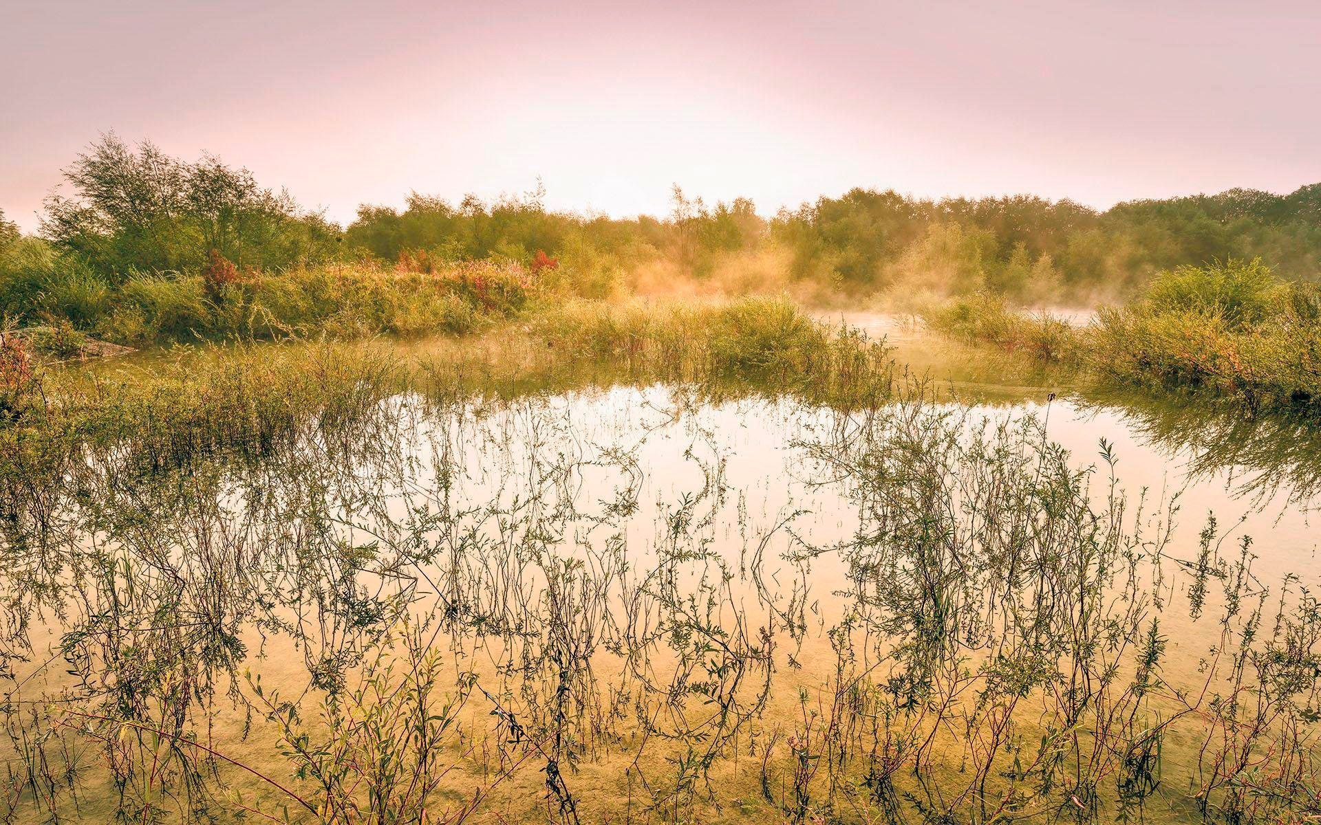 Image of Komar Vliestapete "Digitaldruck Vlies - Morning View II - Grösse 400 x 250 cm" bedruckt glatt Wohnzimmer, Schlafzimmer