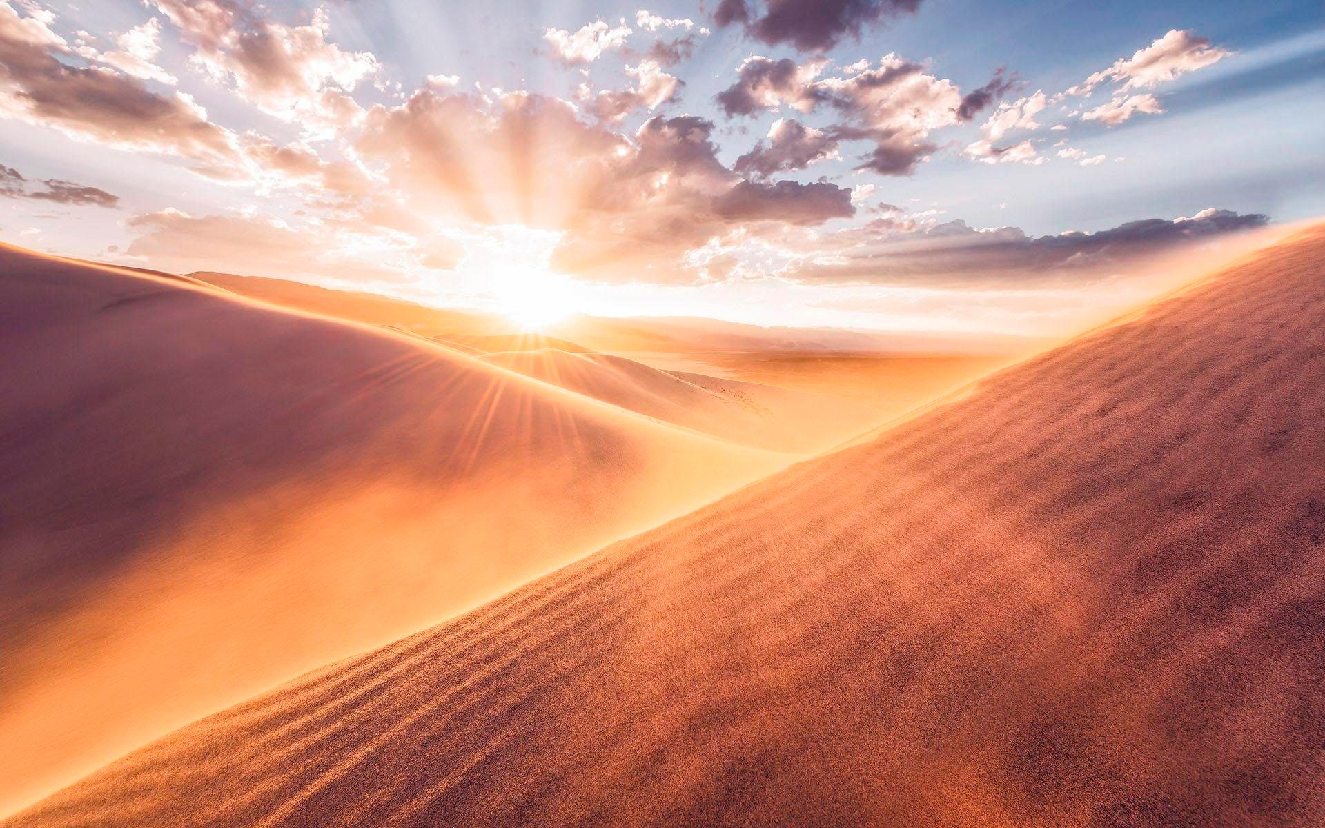 Image of Komar Vliestapete »Hefele Gently touched«, Strand bei Ackermann Versand Schweiz