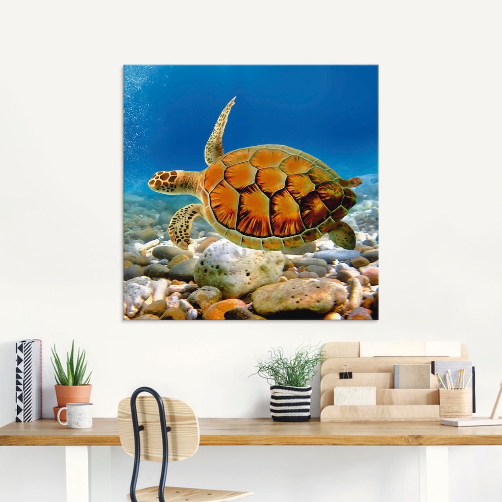 Artland Glasbild »Schildkröte«, Wassertiere, (1 St.)