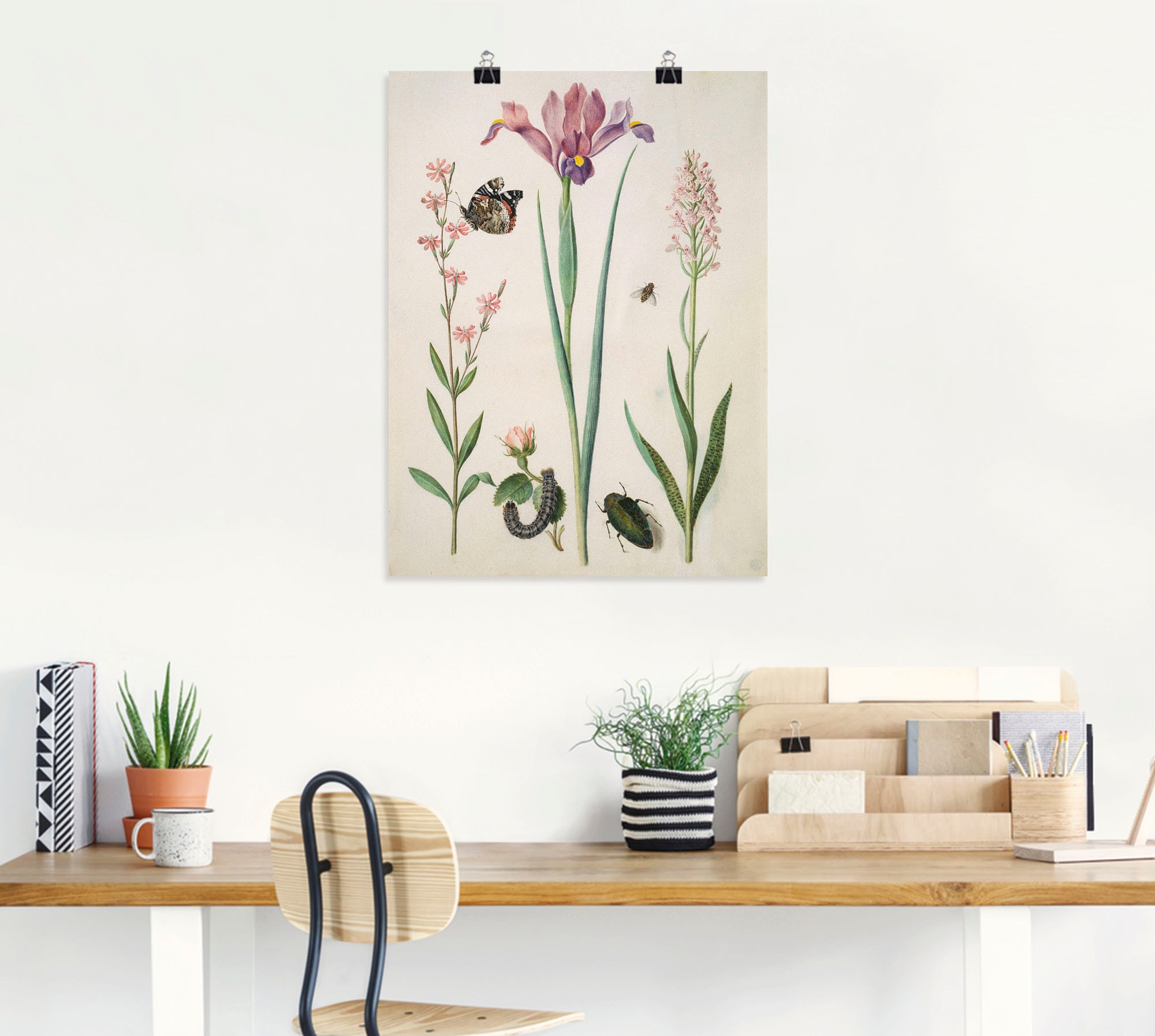 Artland Poster »Admiral, Rose Iris Knabenkraut.« Pflanzen 1 Stk. tlg. ohne Rahmen