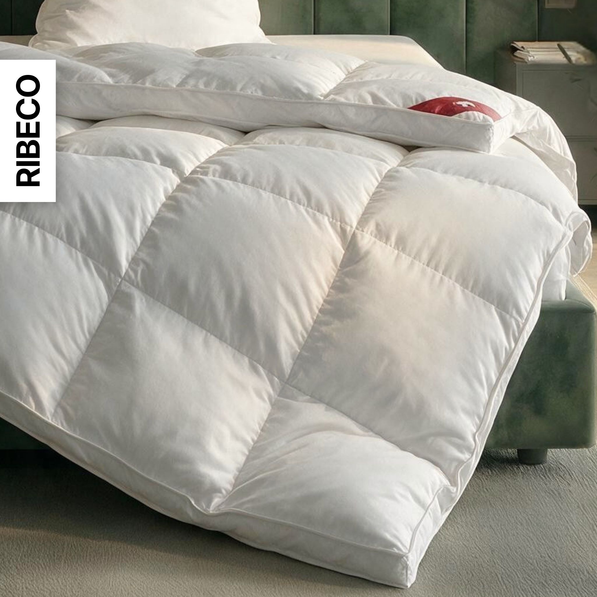RIBECO Couette en duvet »Bettdecke in 135x200 und 155x220cm Topseller,« ultra-chaud Füllung 80 duvet 20 plumes 1 cuis tlg. Duvet et plumes, Made in Germany, avec coussin 80x80 cm offert