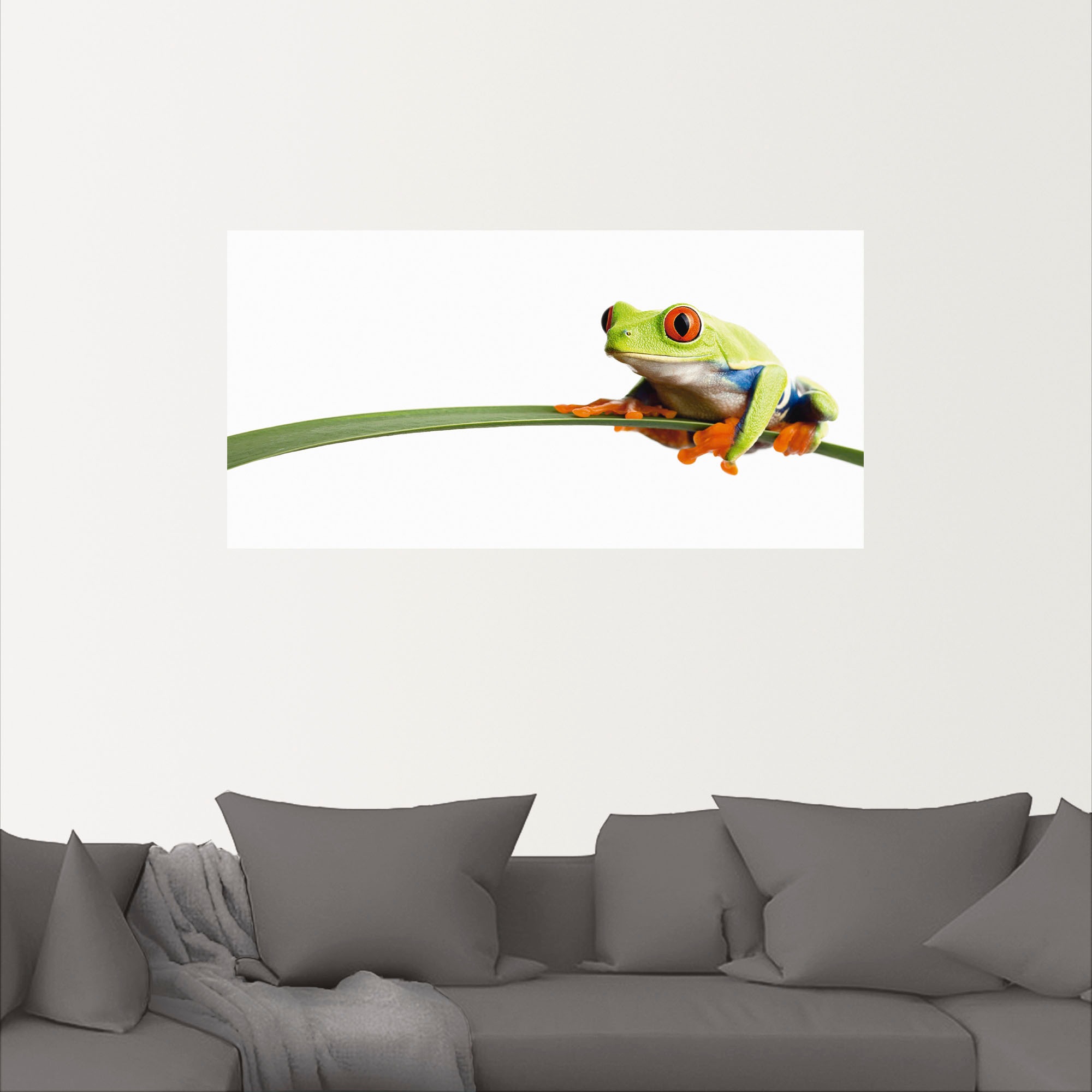 Artland Wandbild »Frosch auf einem Blatt«, Wassertiere, (1 St.), als Alubild, Outdoorbild, Leinwandbild, Poster, Wandaufkleber