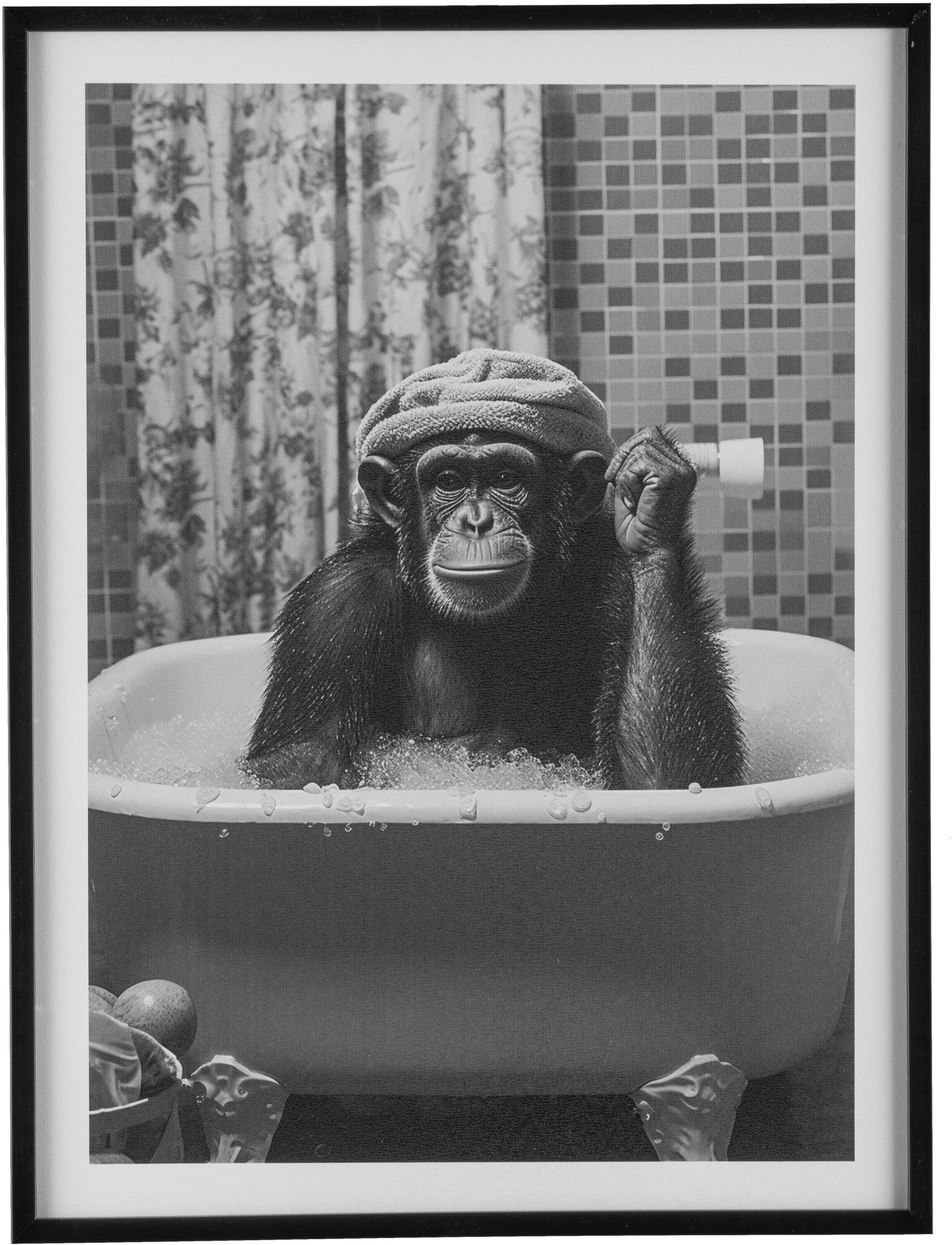 Image of Creativ home Bild mit Rahmen "Leinwandbild Affe in Badewanne" 1 Stk. tlg. mit Rahmen