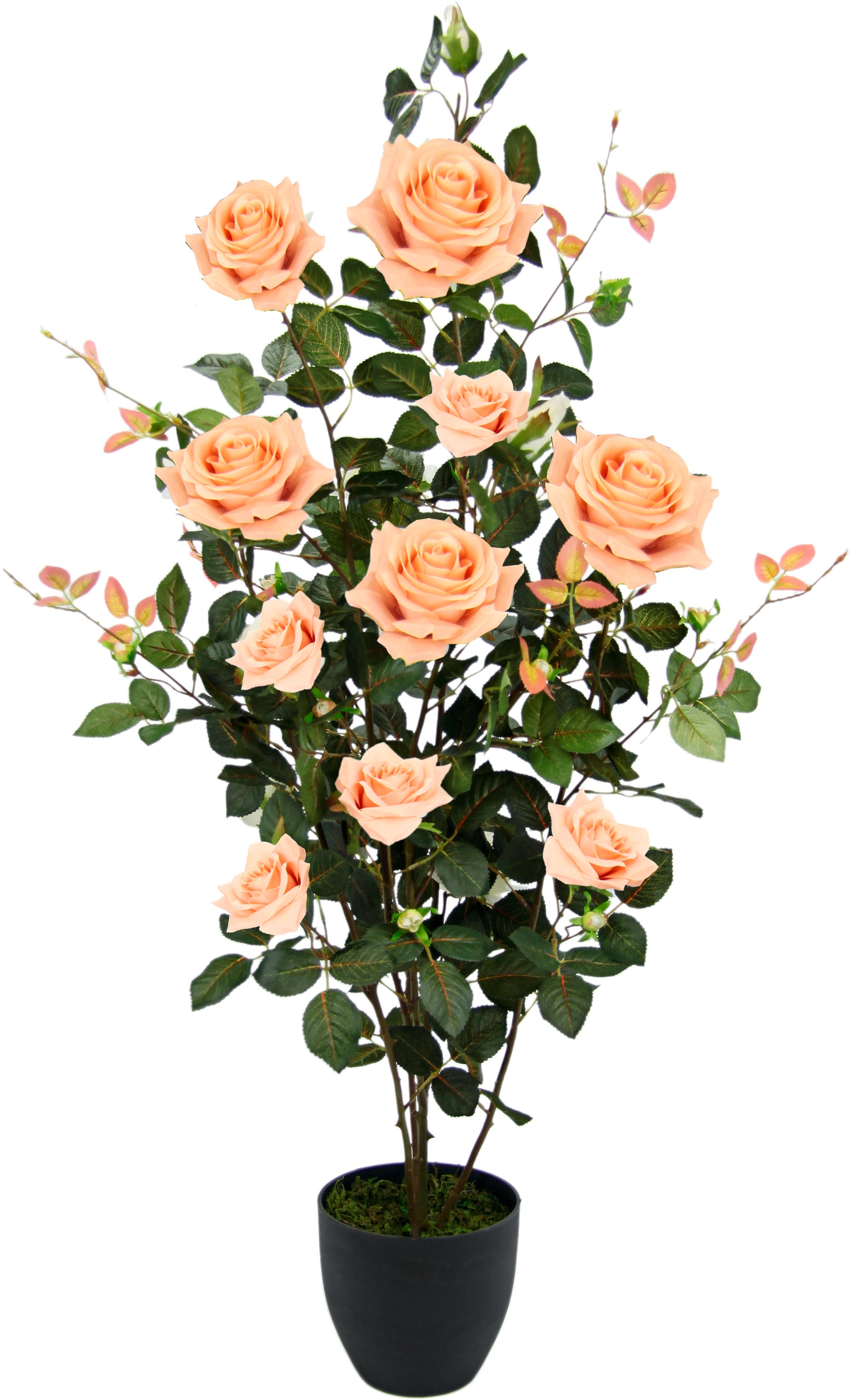 I.GE.A. Kunstbaum "Rosenbusch im Topf" Kunstrosen Kunstpflanzen Rosenstrauch Deko Hochzeit