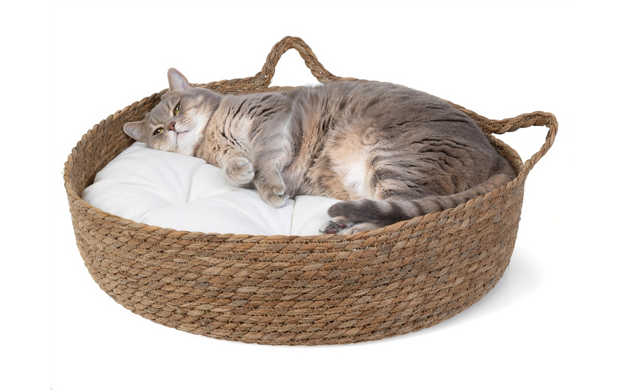   Lit pour animal »Nize mit Kissen«