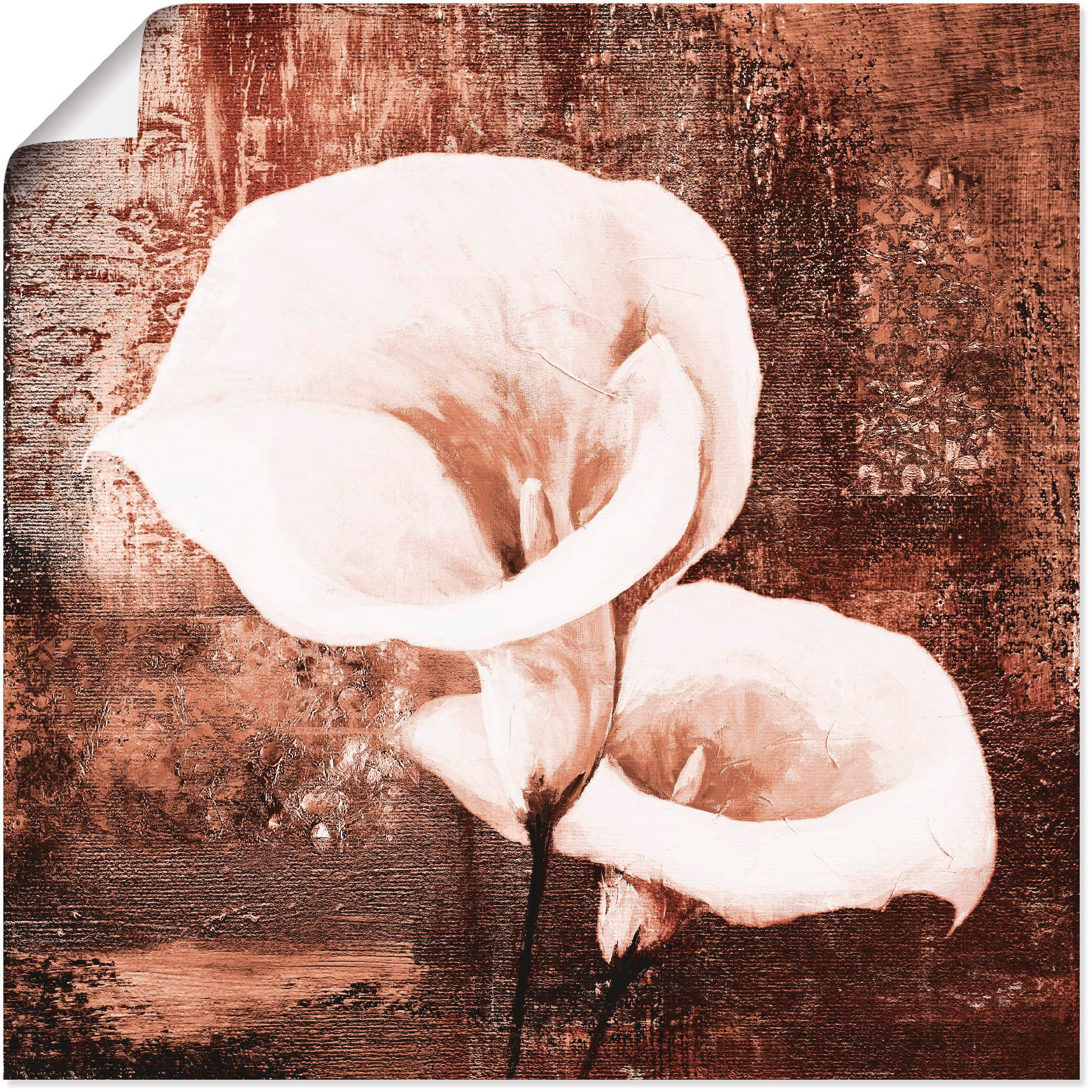 Image of Artland Wandbild »Klassische Callas«, Blumen, (1 St.), in vielen Grössen & Produktarten -Leinwandbild, Poster, Wandaufkleber / Wandtattoo auch für Badezimmer geeignet bei Ackermann Versand Schweiz