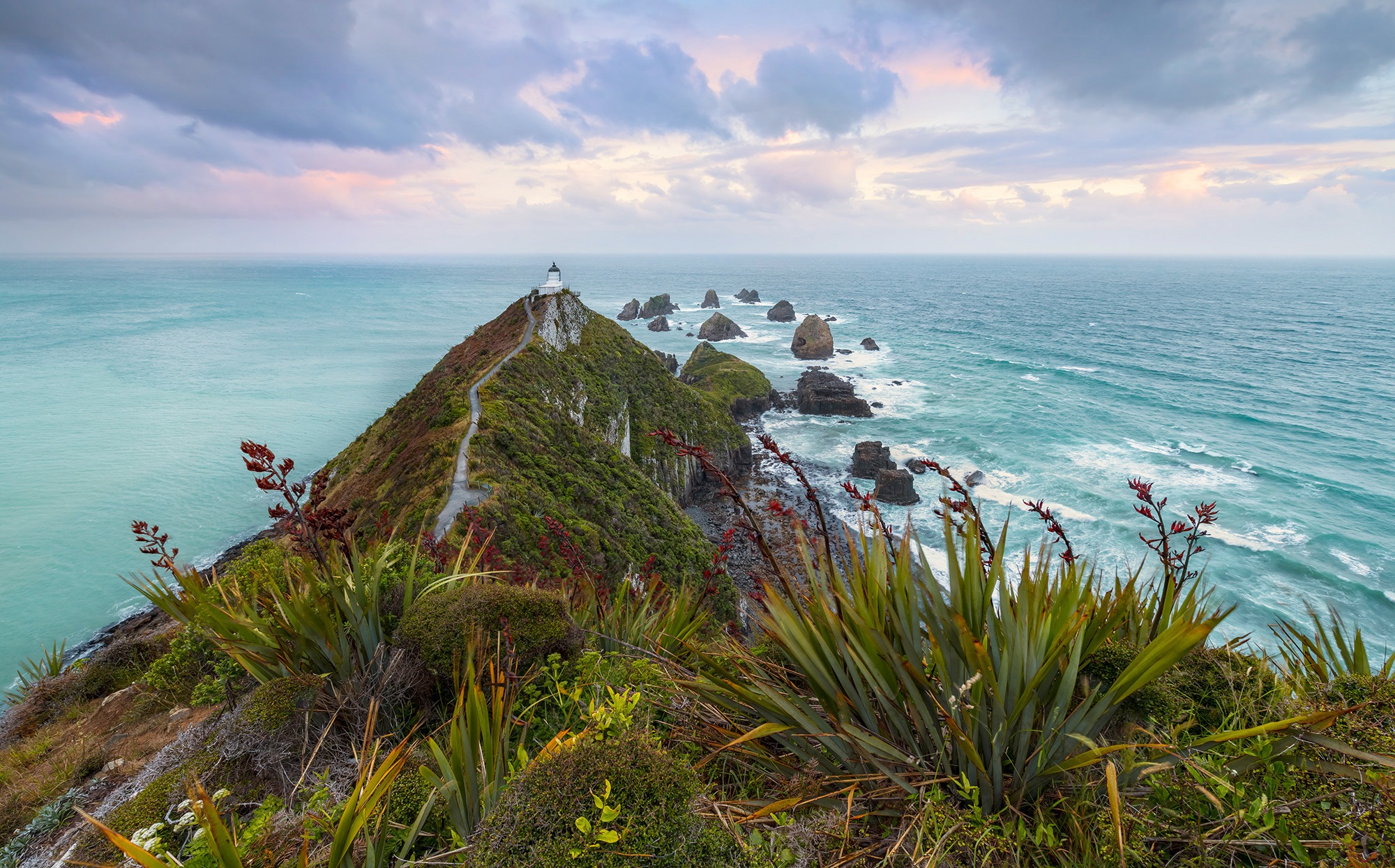 Image of Komar Fototapete »The Nuggets«, mehrfarbig-natürlich-bedruckt bei Ackermann Versand Schweiz