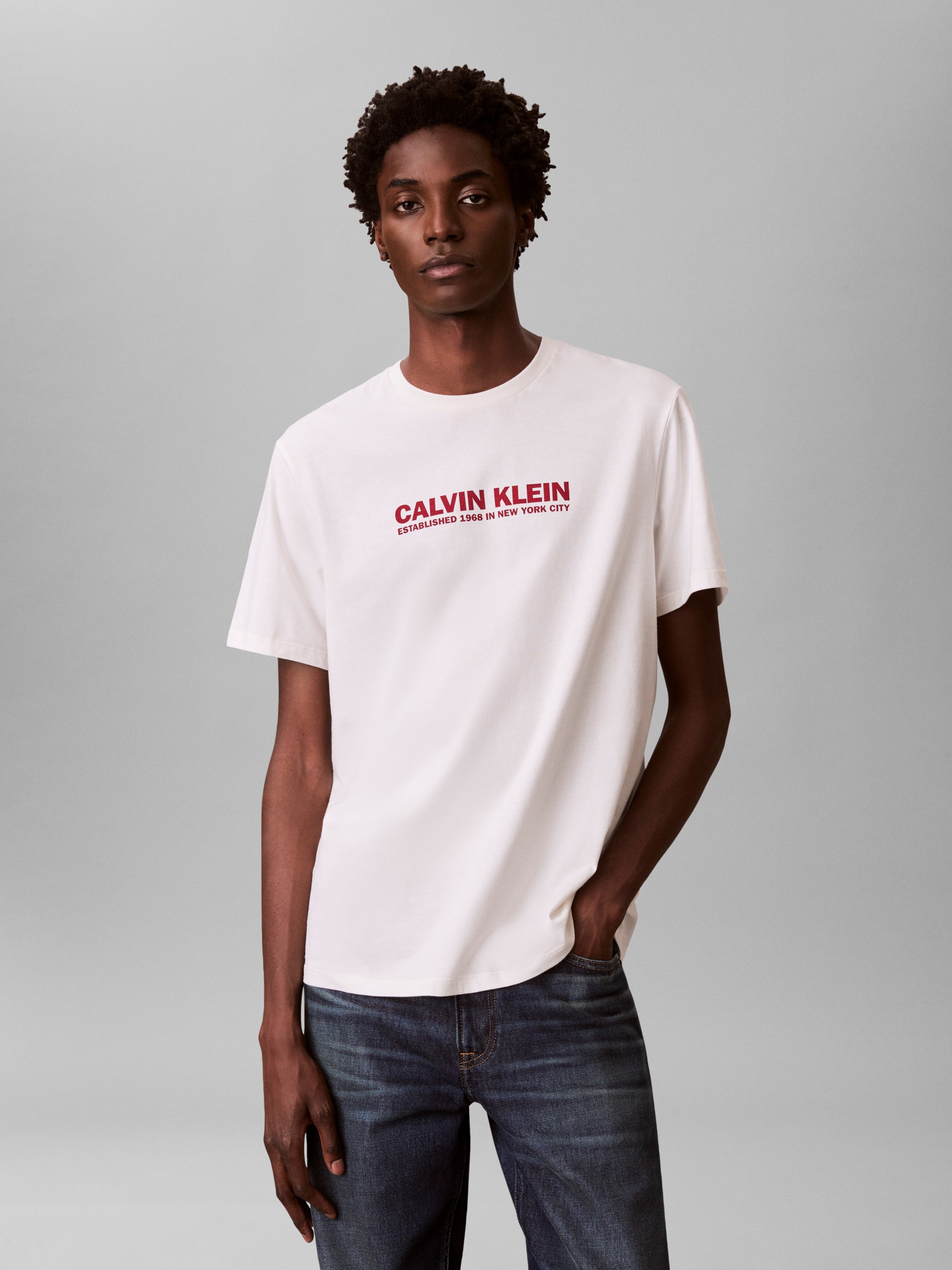 Image of Calvin Klein T-Shirt Regular Fit, Rundhalsausschnitt, Logodruck