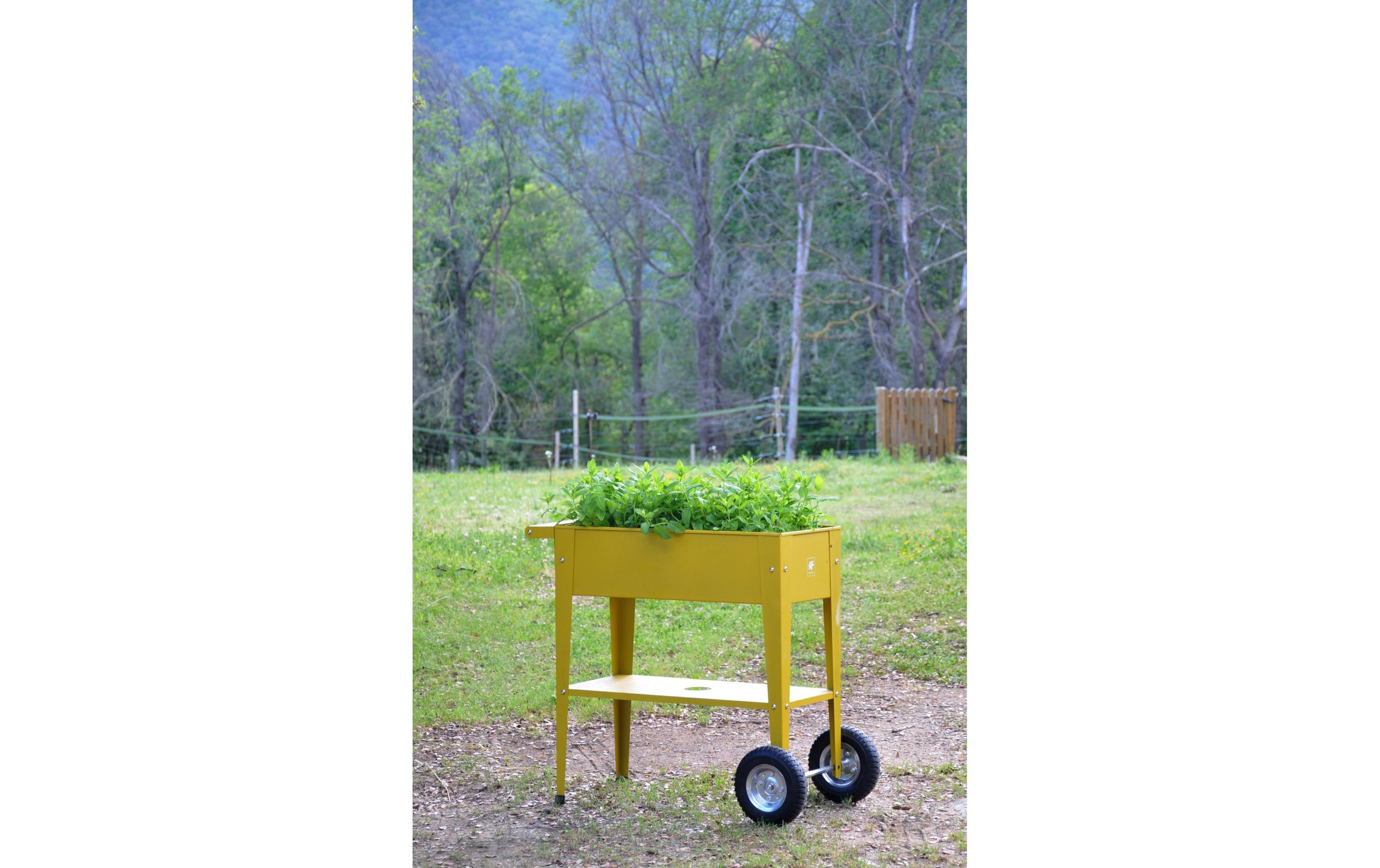 Herstera Garden Hochbeet »Urban Garden Trolley, 75 x 35 x 80 cm, Mustard«