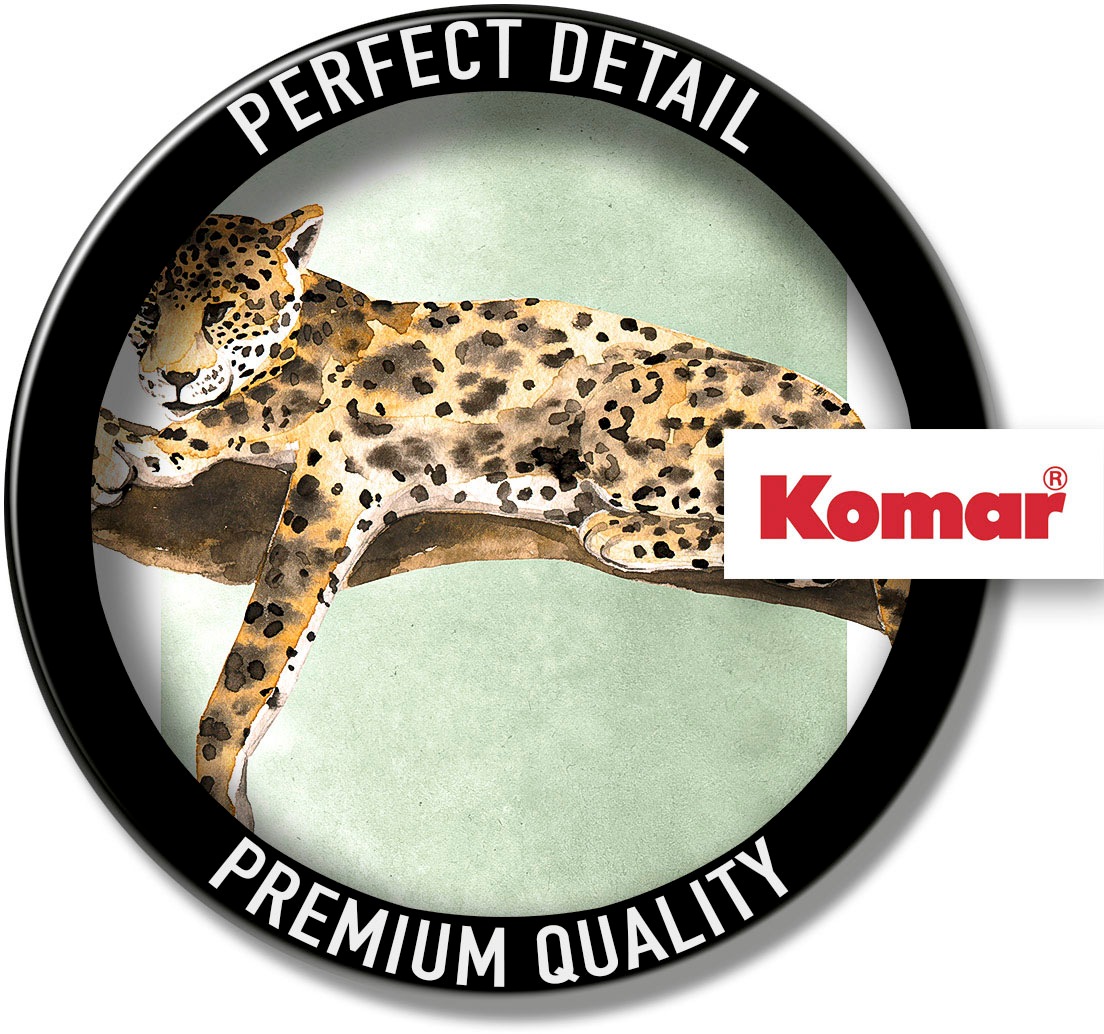 Komar Bild »Lazy Leopard« Natur 1 Stk. tlg. Wandbild zur Dekoration - ohne Rahmen