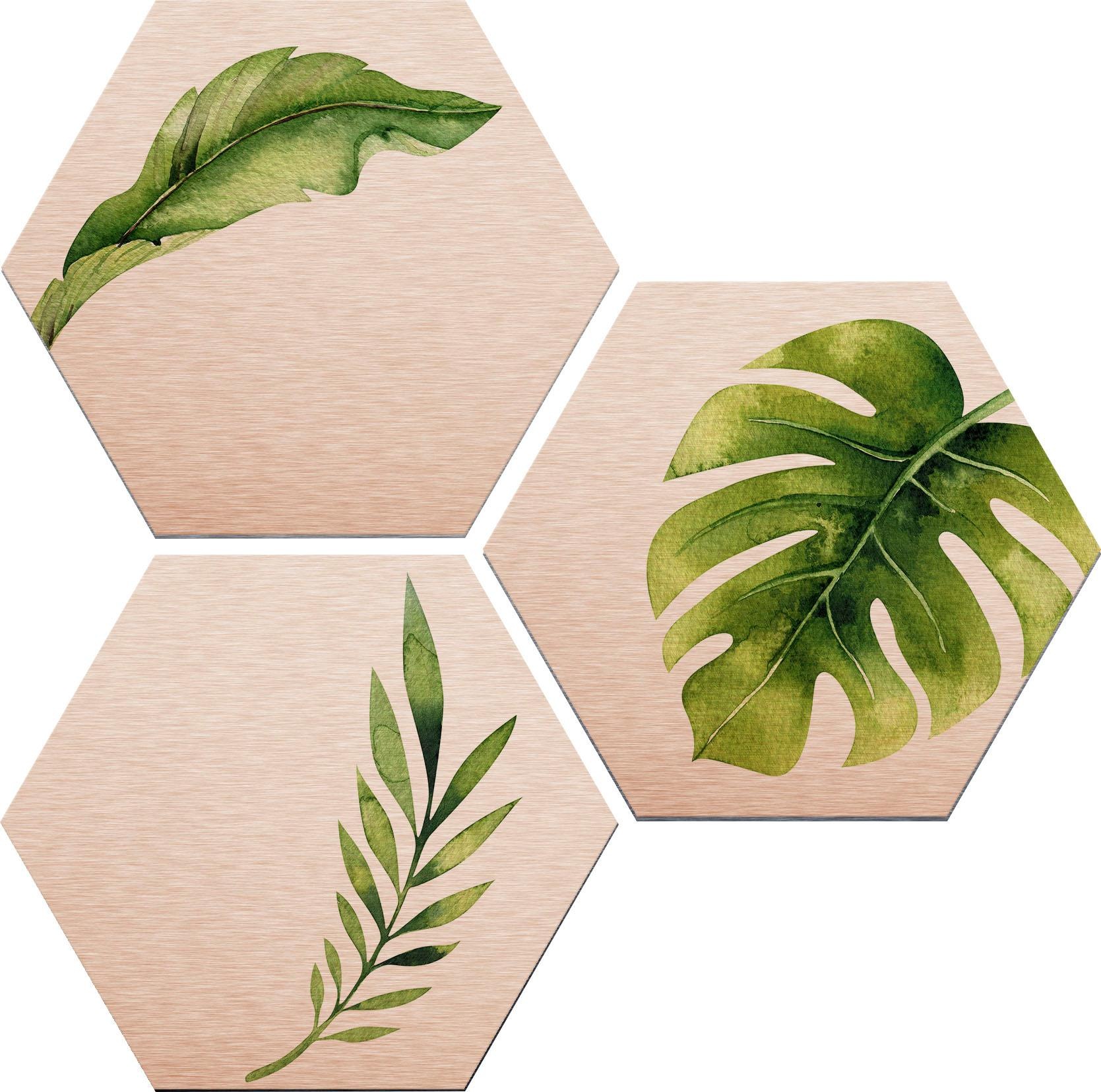 Image of Wall-Art Alu-Dibond-Druck »Kvilis - Dschungel 04«, (Set) bei Ackermann Versand Schweiz