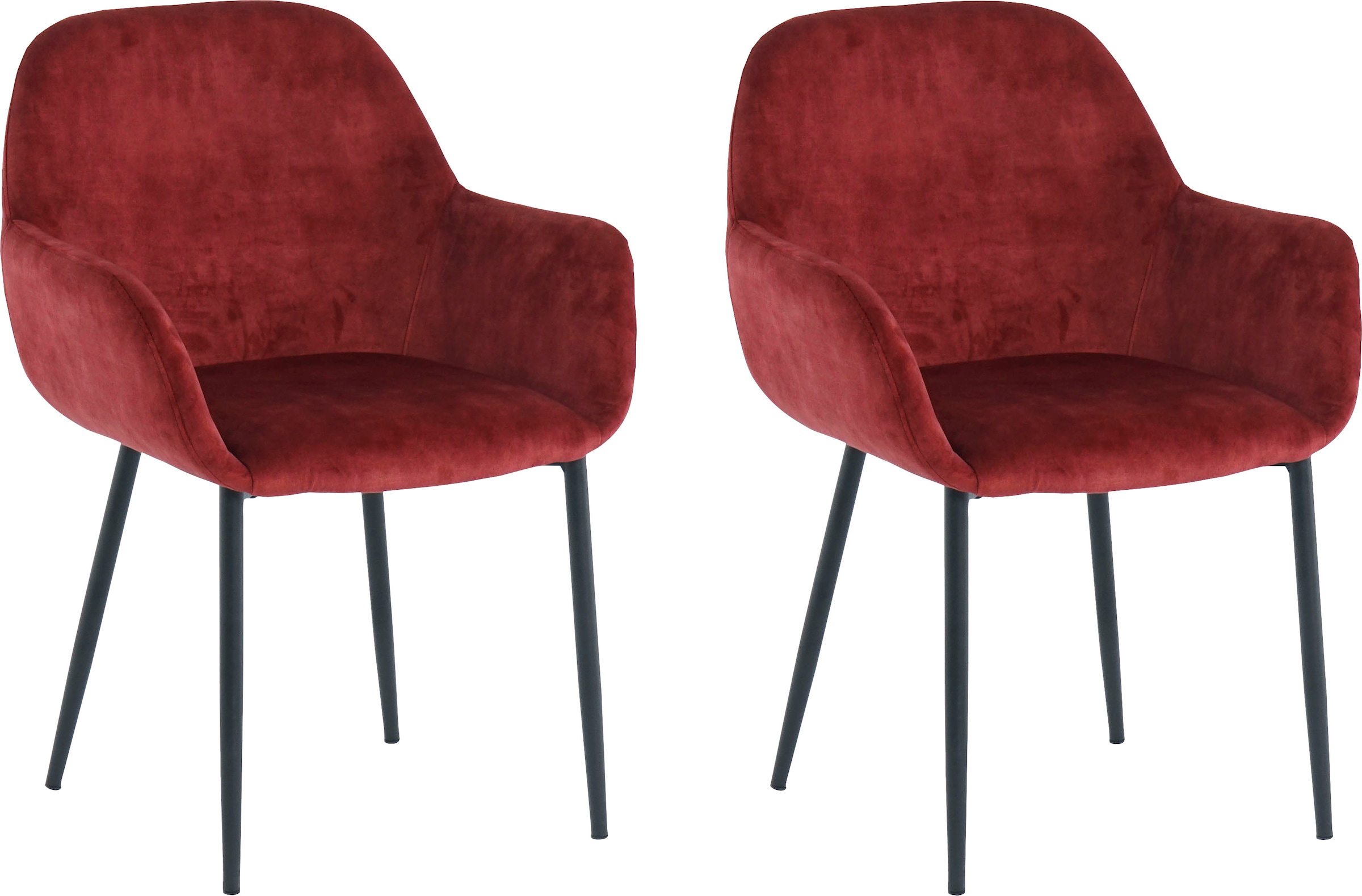 SIT Chaise avec accoudoirs »Jaipur 2er-Set mit Samtbezug & schwarzem Metallgestell« (Ensemble) 2 cuishousse en velours glamour rencontre accoudoirs évasés & dossier arrondi